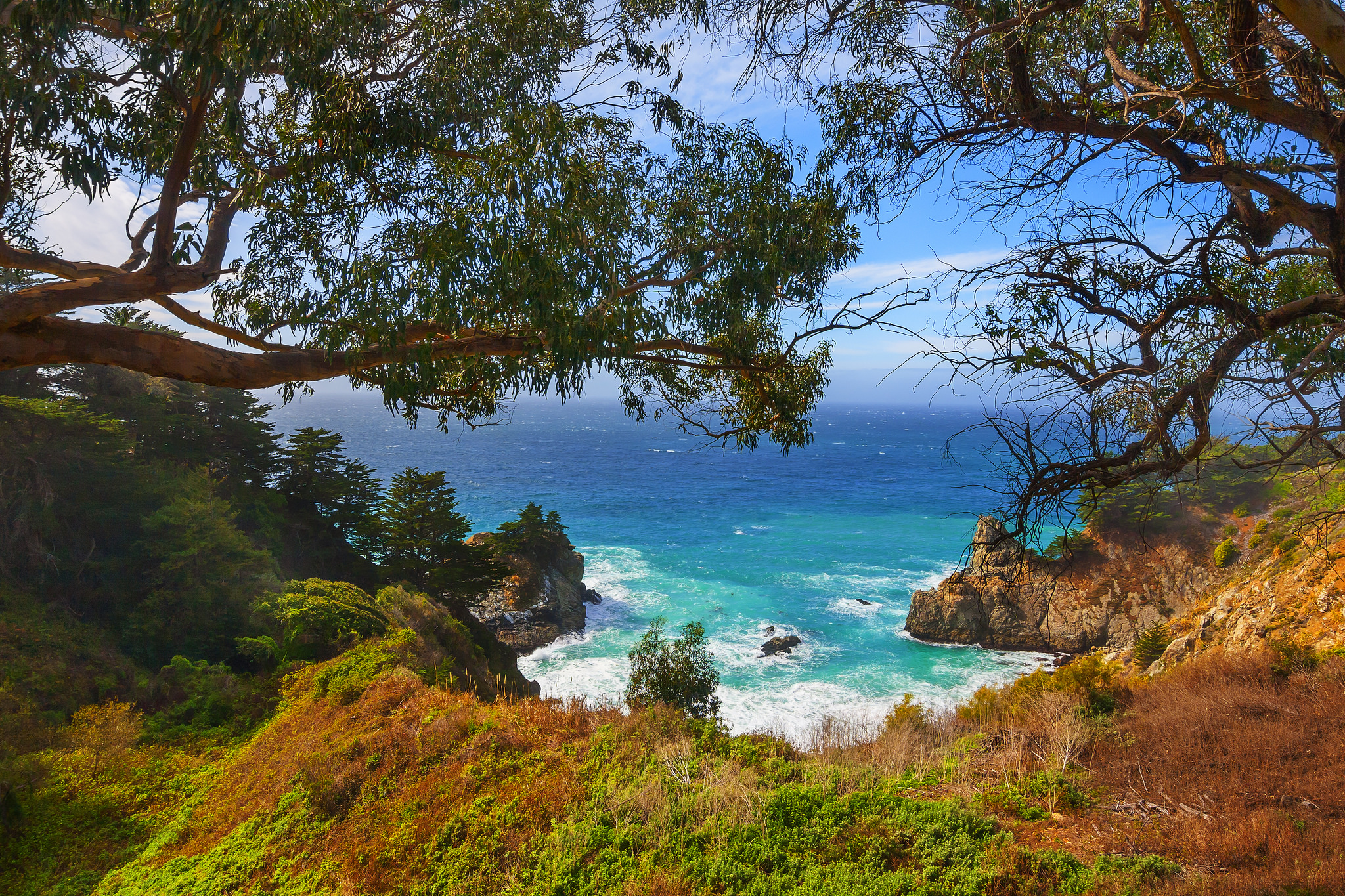 Big Sur California Cliff Coastline Earth Ocean Rock Sea Tree 2048x1365