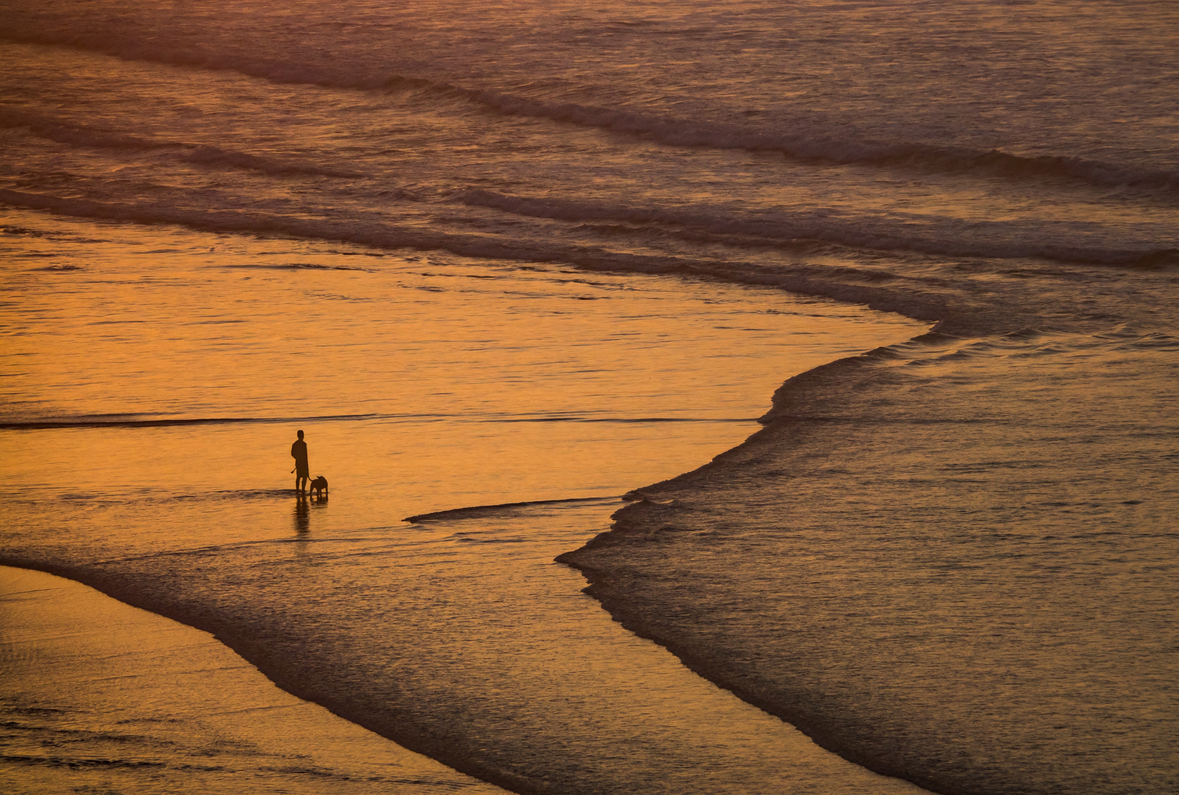 Sea Beach Landscape Evening Men Dog Sand Orange Sunlight Water 4000x2698