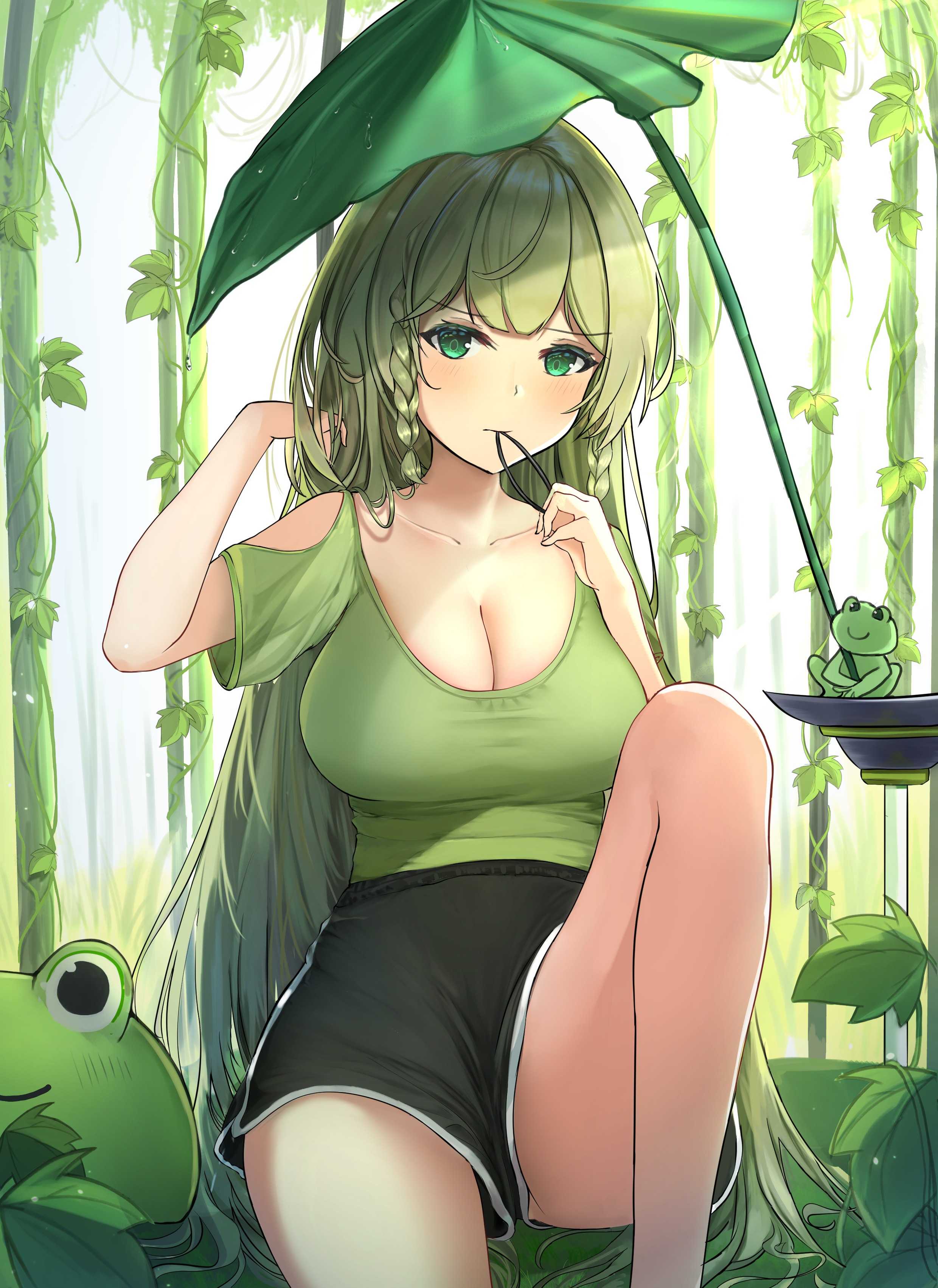 MapleStory Video Games Anime Anime Girls Long Hair Bangs Green Eyes Looking At Viewer Green Top Frog 2480x3403