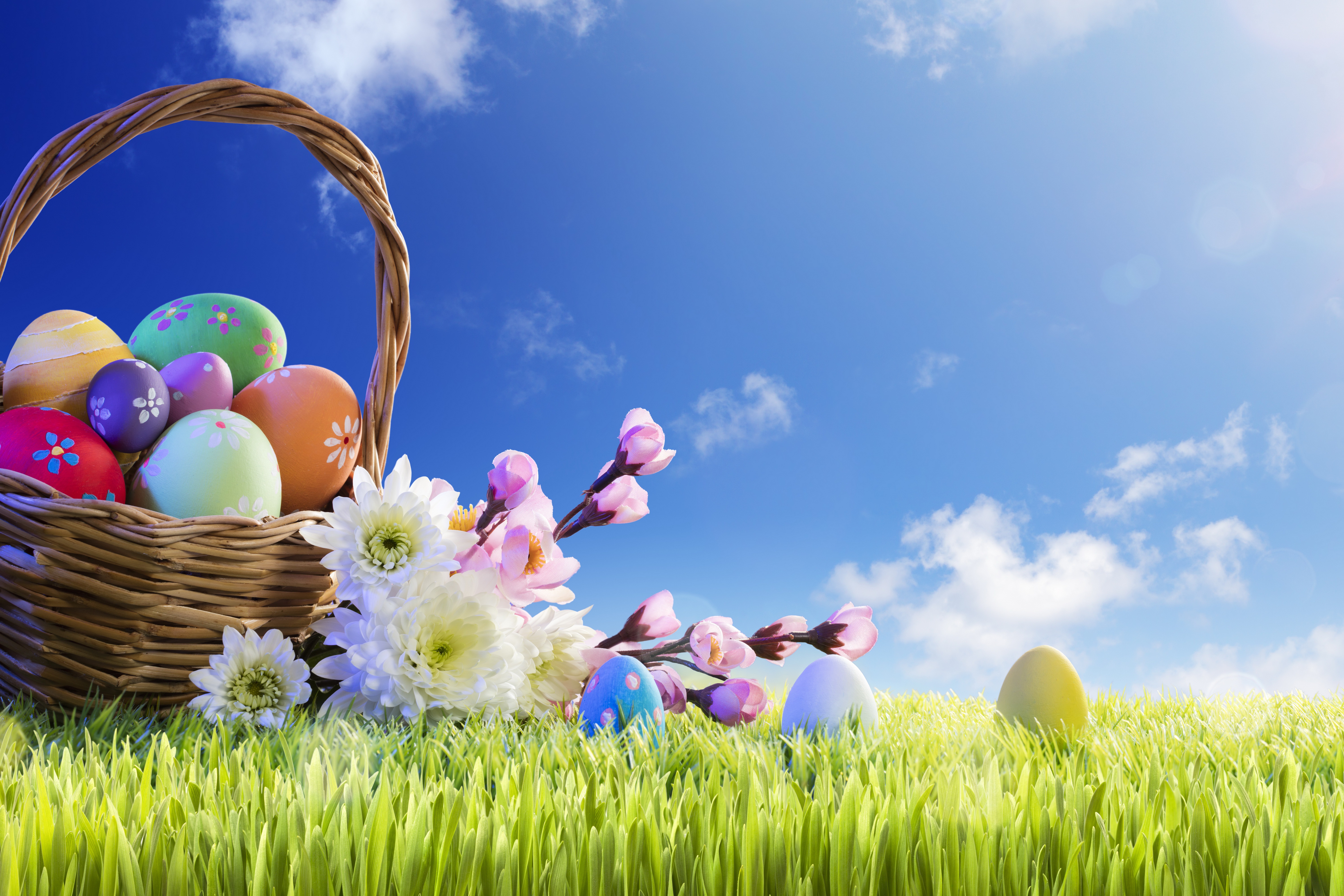 Basket Easter Egg Flower Grass 6000x4000