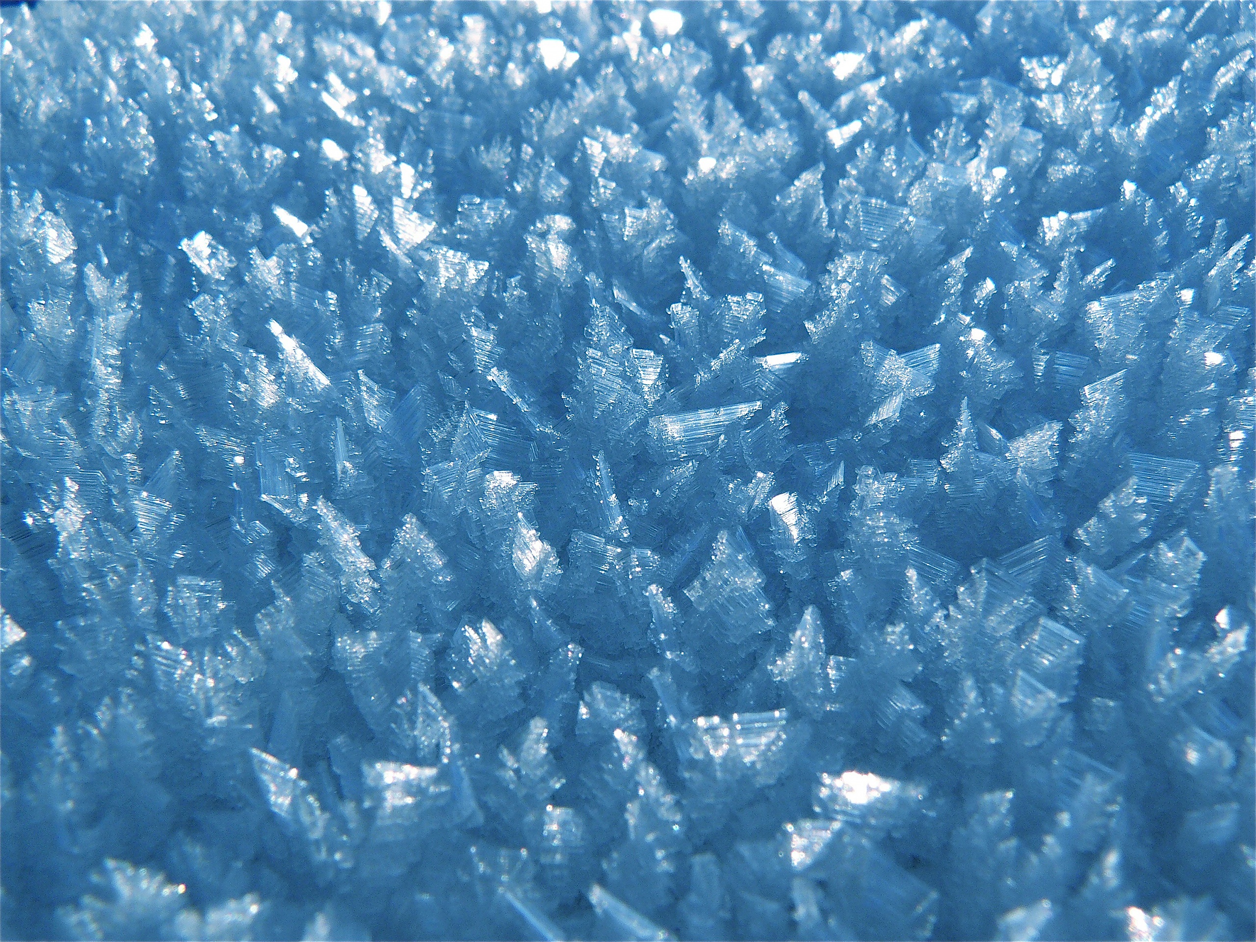 Close Up Frost Ice Texture 2560x1920