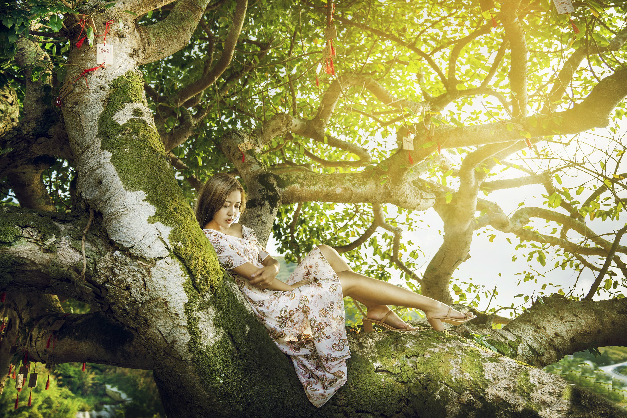 Asian Model Women Long Hair Dark Hair Trees Branch Sitting Barefoot Sandal Flower Dress Leaves Depth 2400x1600