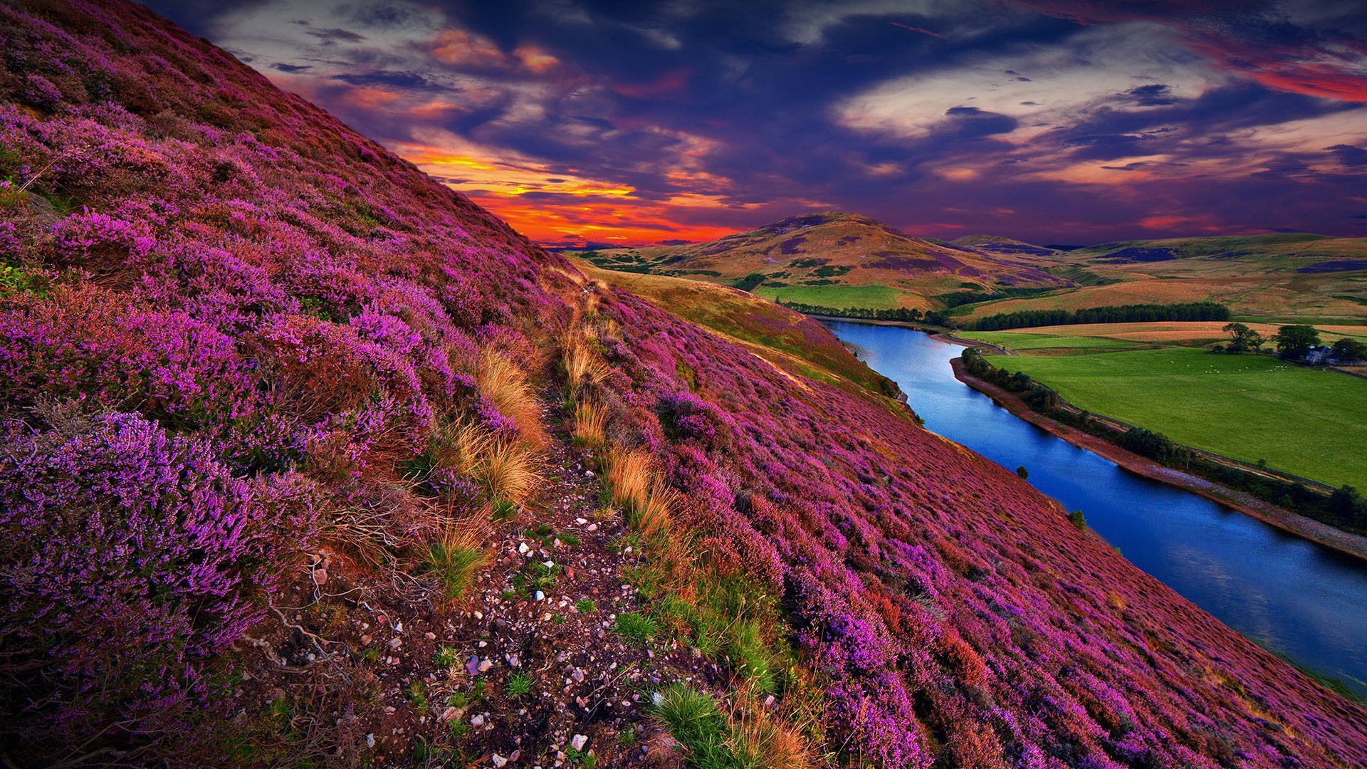 Sky Nature Sunset Flower Cloud Hill Scotland United Kingdom 1920x1080
