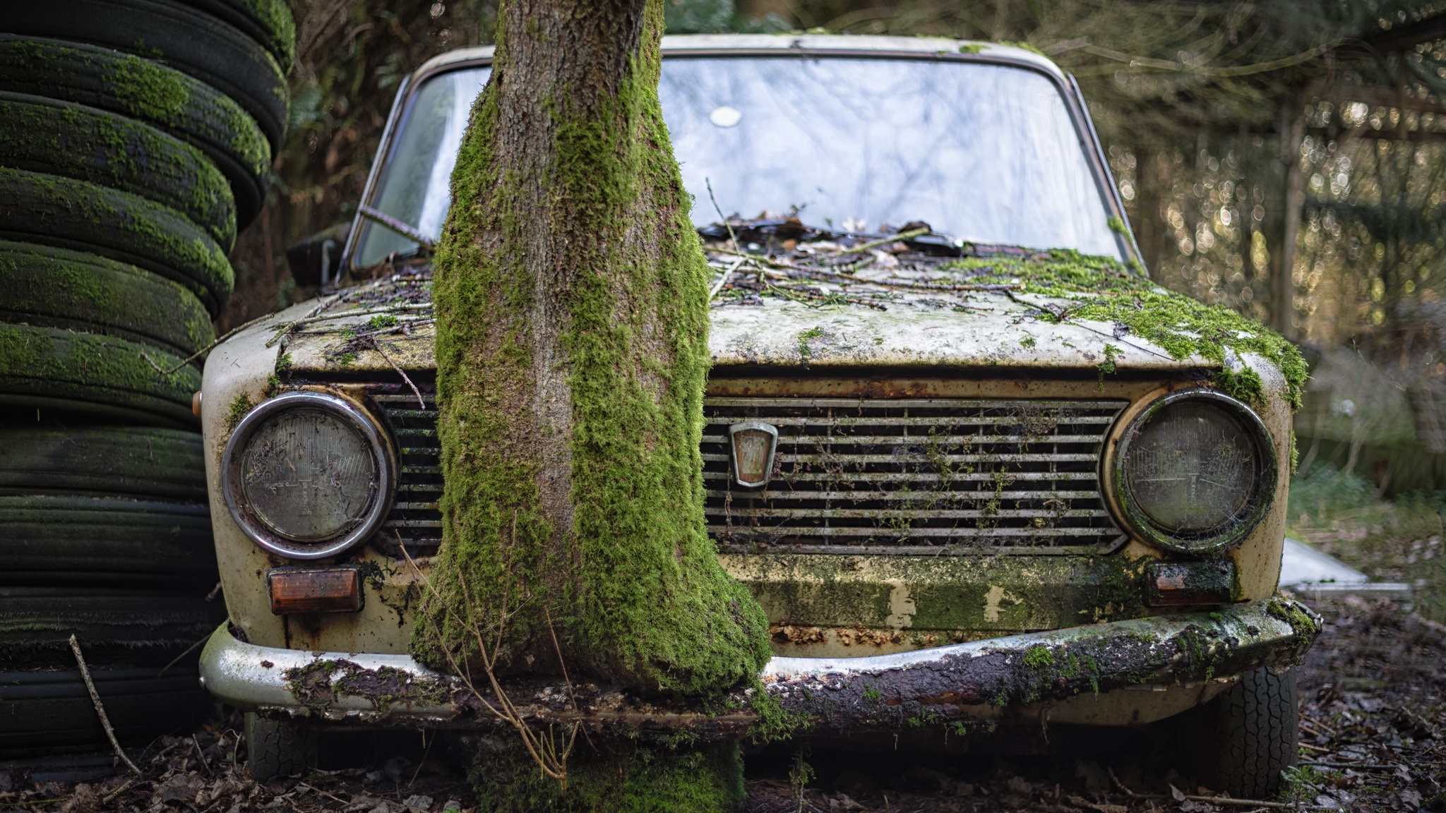 Old Car Car Wreck Vehicle Rust Moss Plants Trees Tires Lada 2101 LADA 2048x1152