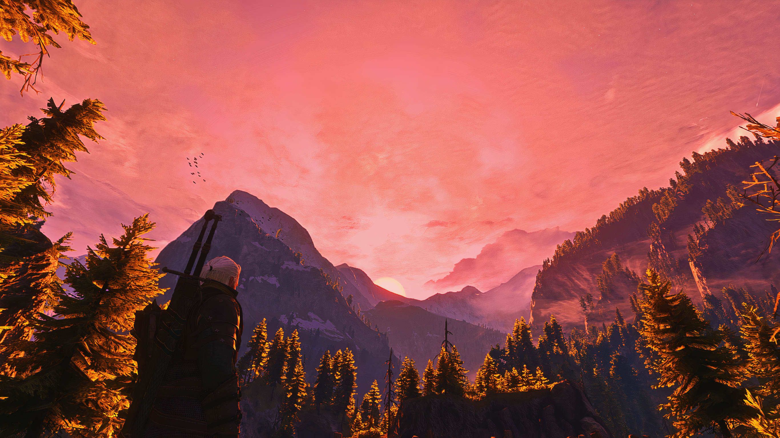 The Witcher Geralt Of Rivia Landscape Video Games 2732x1536
