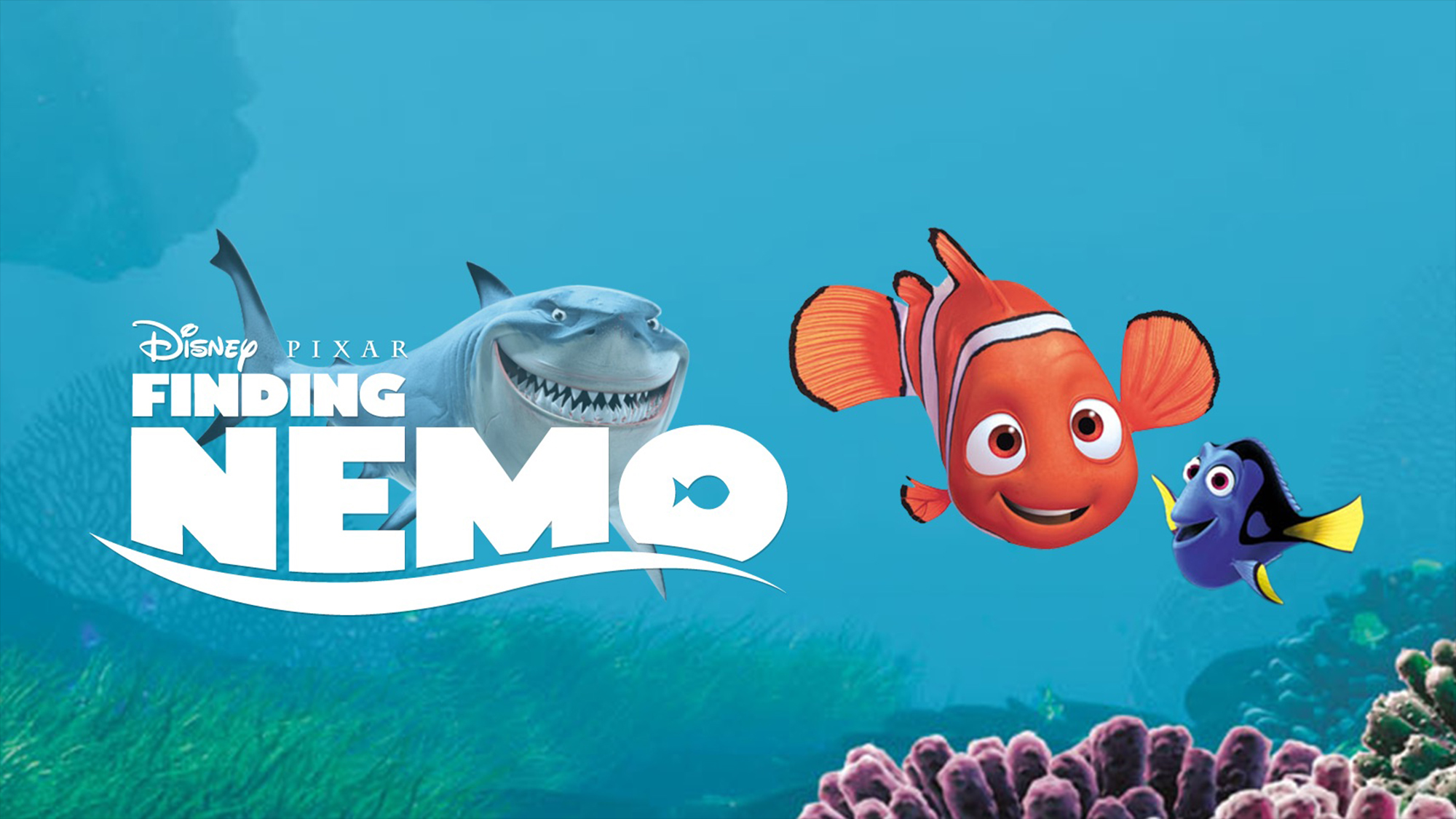 Dory Finding Nemo Nemo Finding Nemo Bruce Finding Nemo 2000x1125