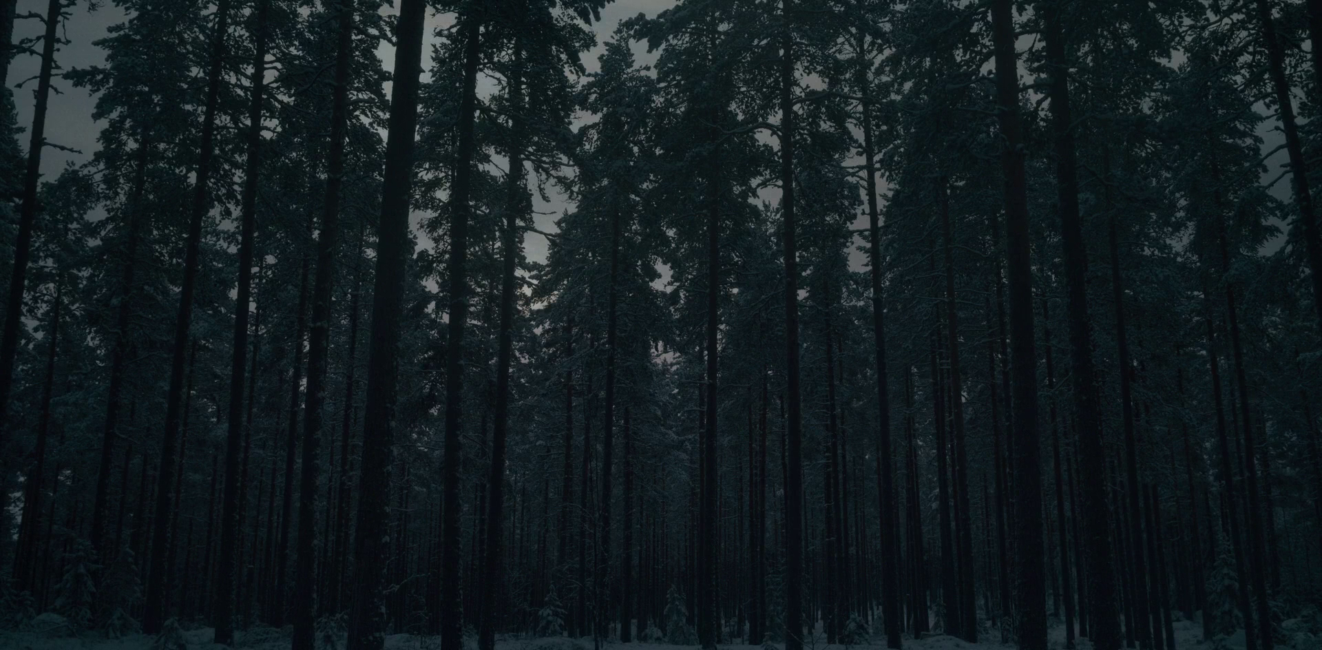 Midsommar Forest Dark 1920x944