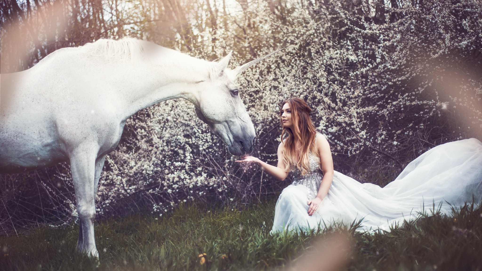 Women Model Unicorn Animals Dress White Dress Women Outdoors Horse Fantasy Girl Flowers Brunette 2048x1152
