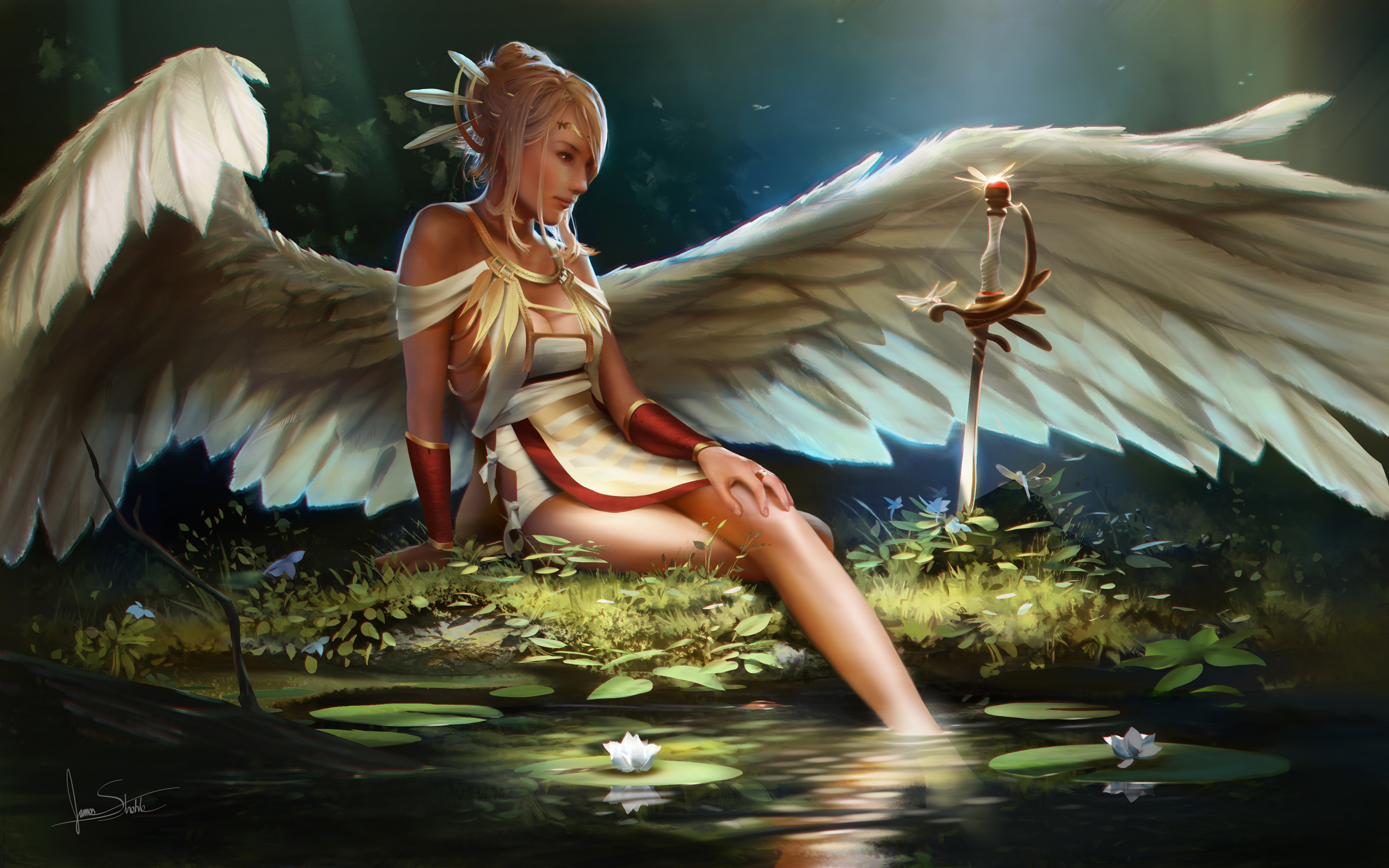 Girl Pond Wings Sword 2500x1563