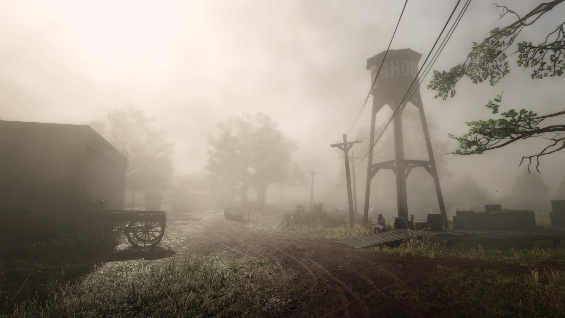 Red Dead Redemption 2 PlayStation 4 Gunslinger Mist Rhodes Rhodes Town Villages Abigail Marston 1920x1080