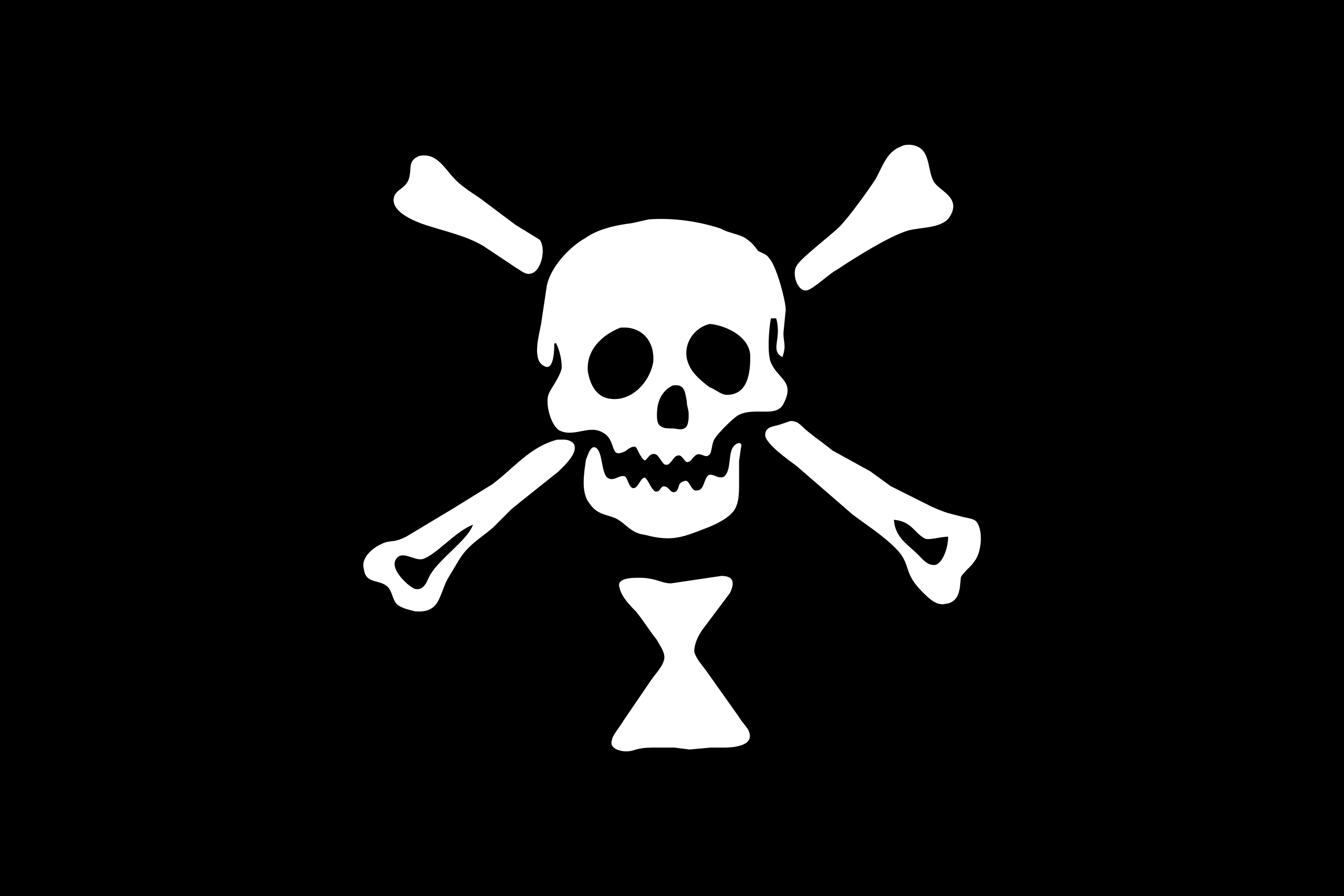 Pirates Flag Skull 2560x1707