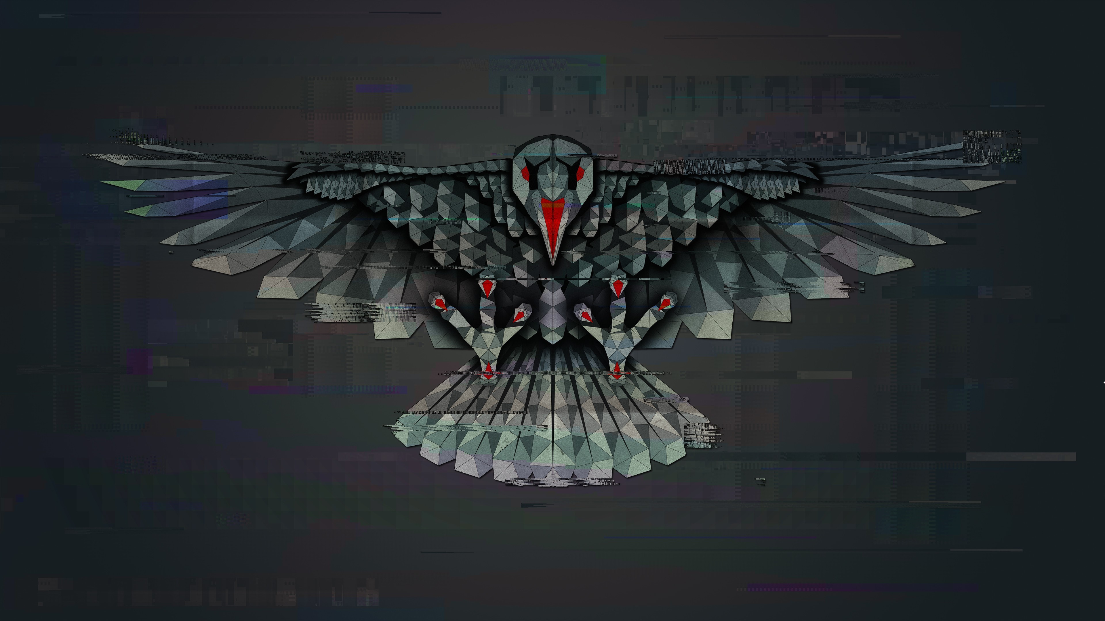Bird Crow 3840x2160