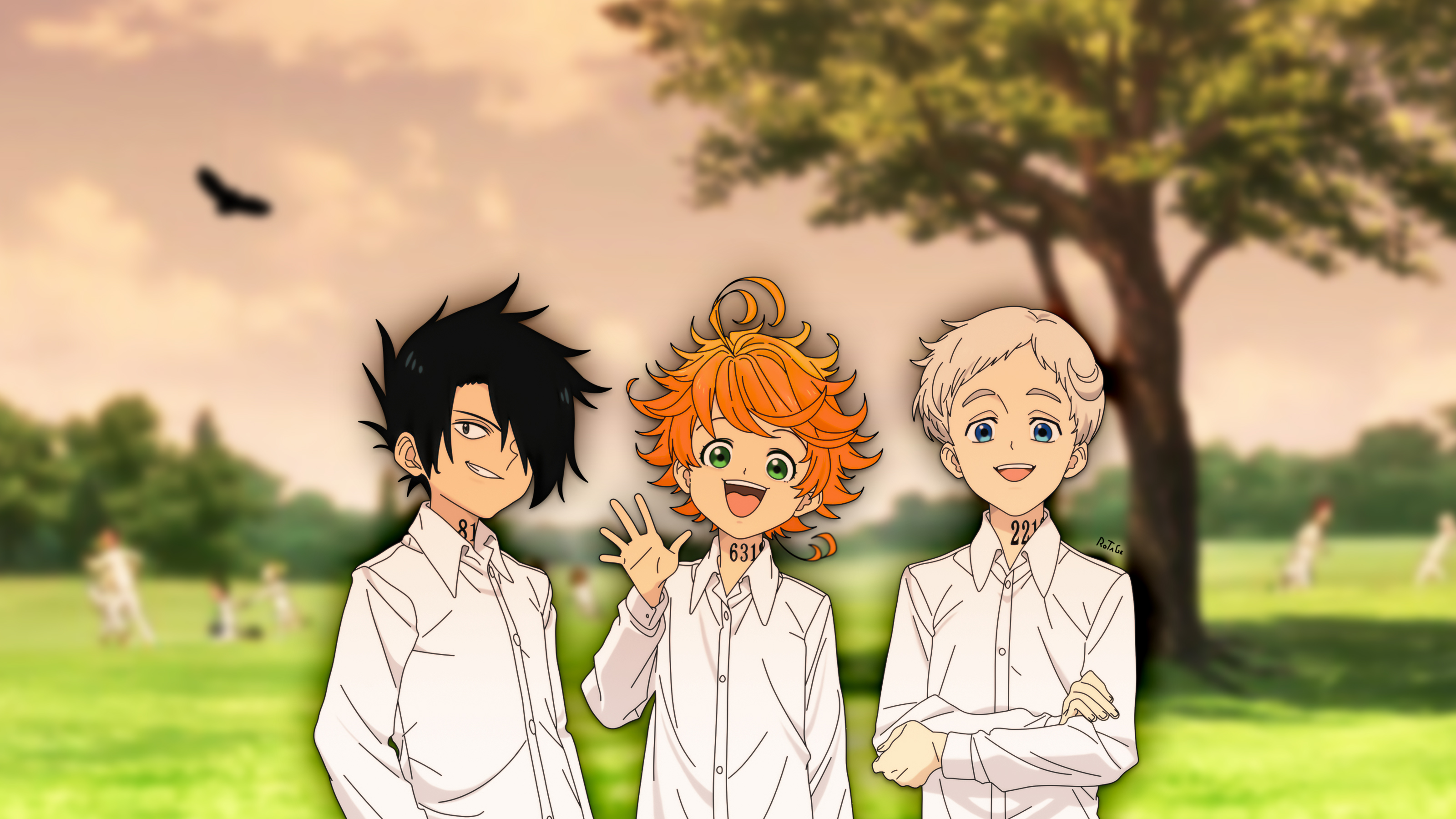 Emma The Promised Neverland Ray The Promised Neverland Norman The Promised Neverland Yakusoku No Nev 3200x1800