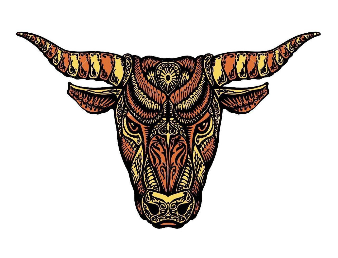 Simple Background White Background Bull 1280x980