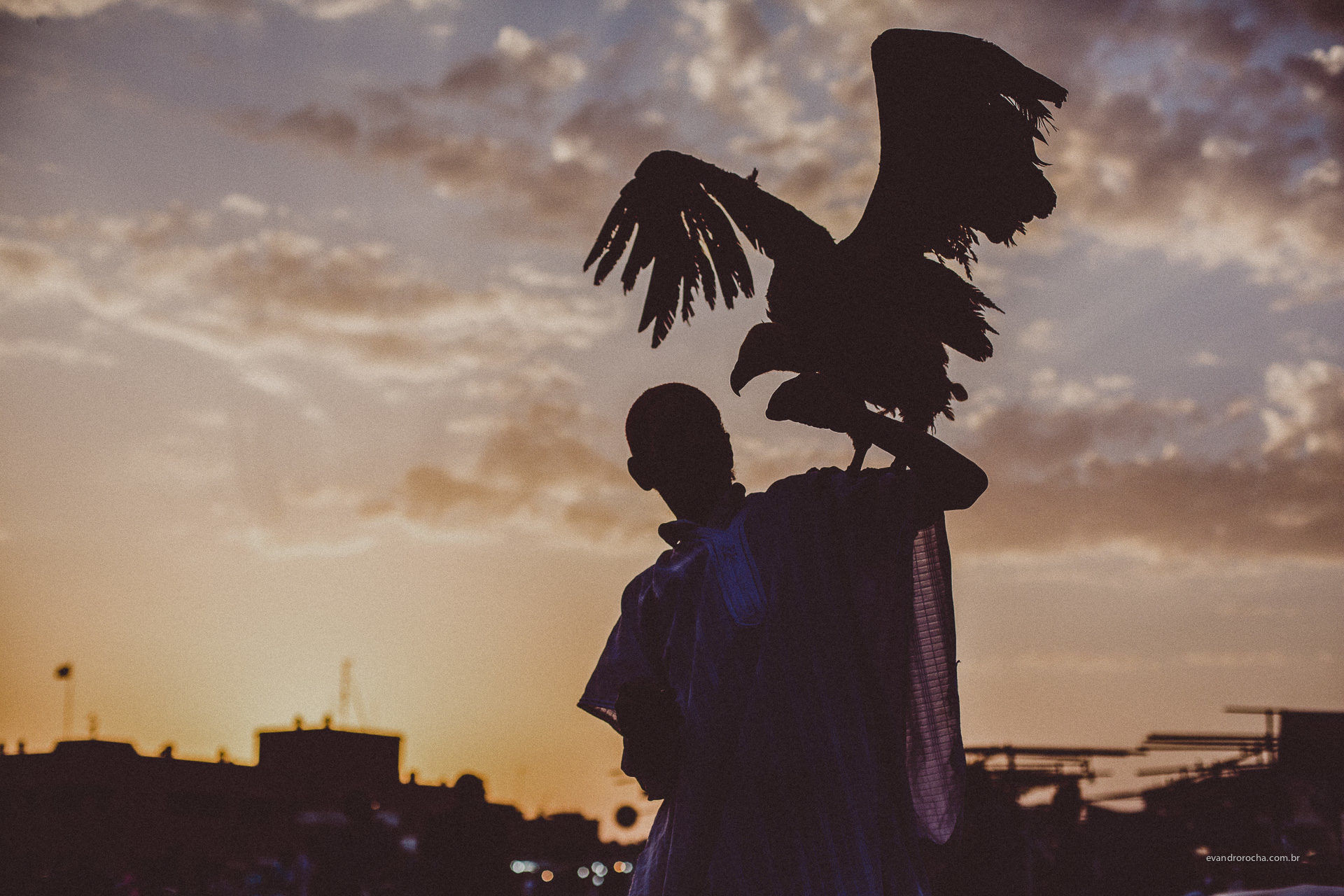 Evandro Rocha Brasil Birds Men Sunset 1920x1280