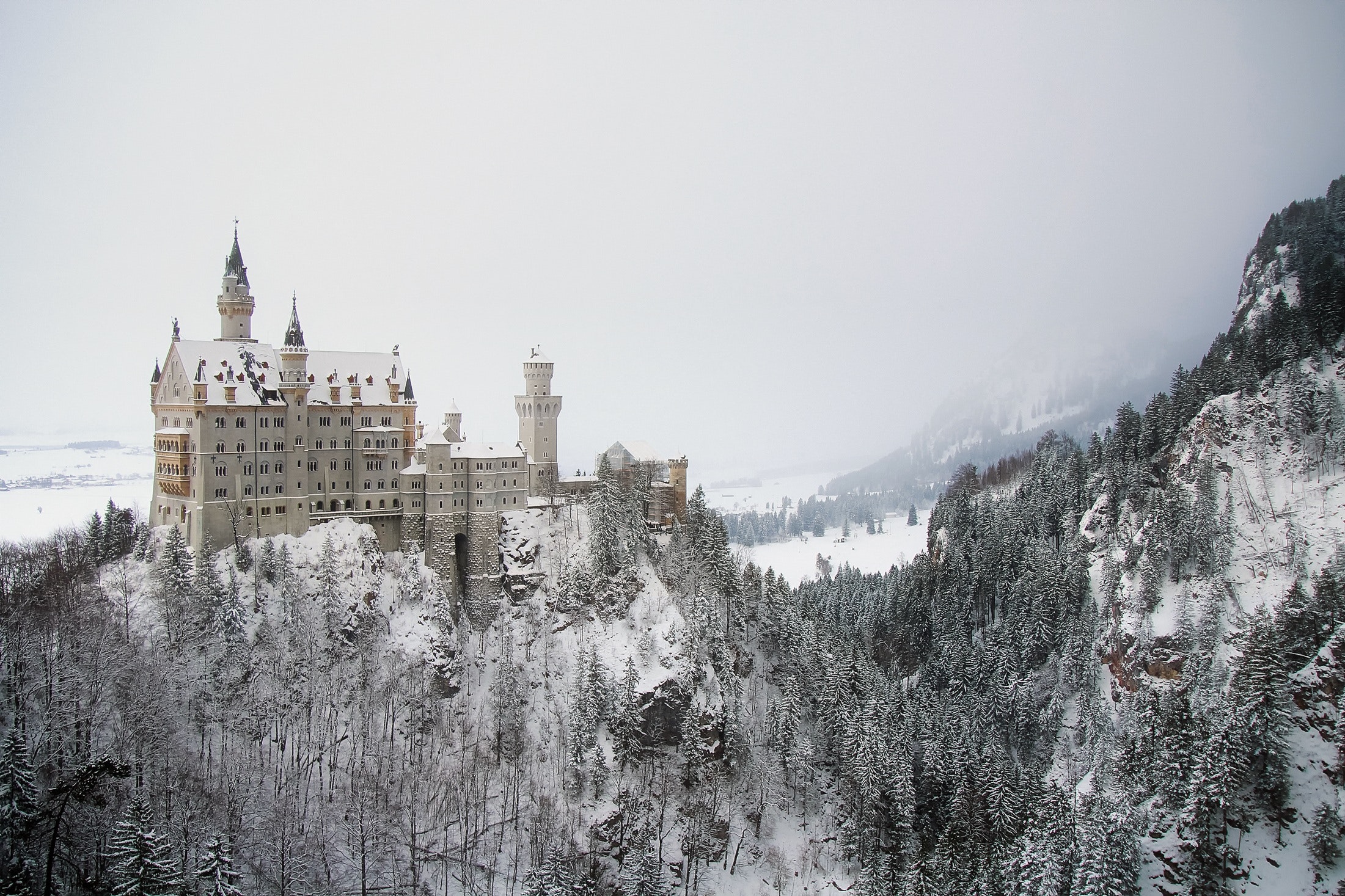 Castle Snow Germany Winter Cold Europe Forest Mountains Hills Neuschwanstein Castle 2201x1467