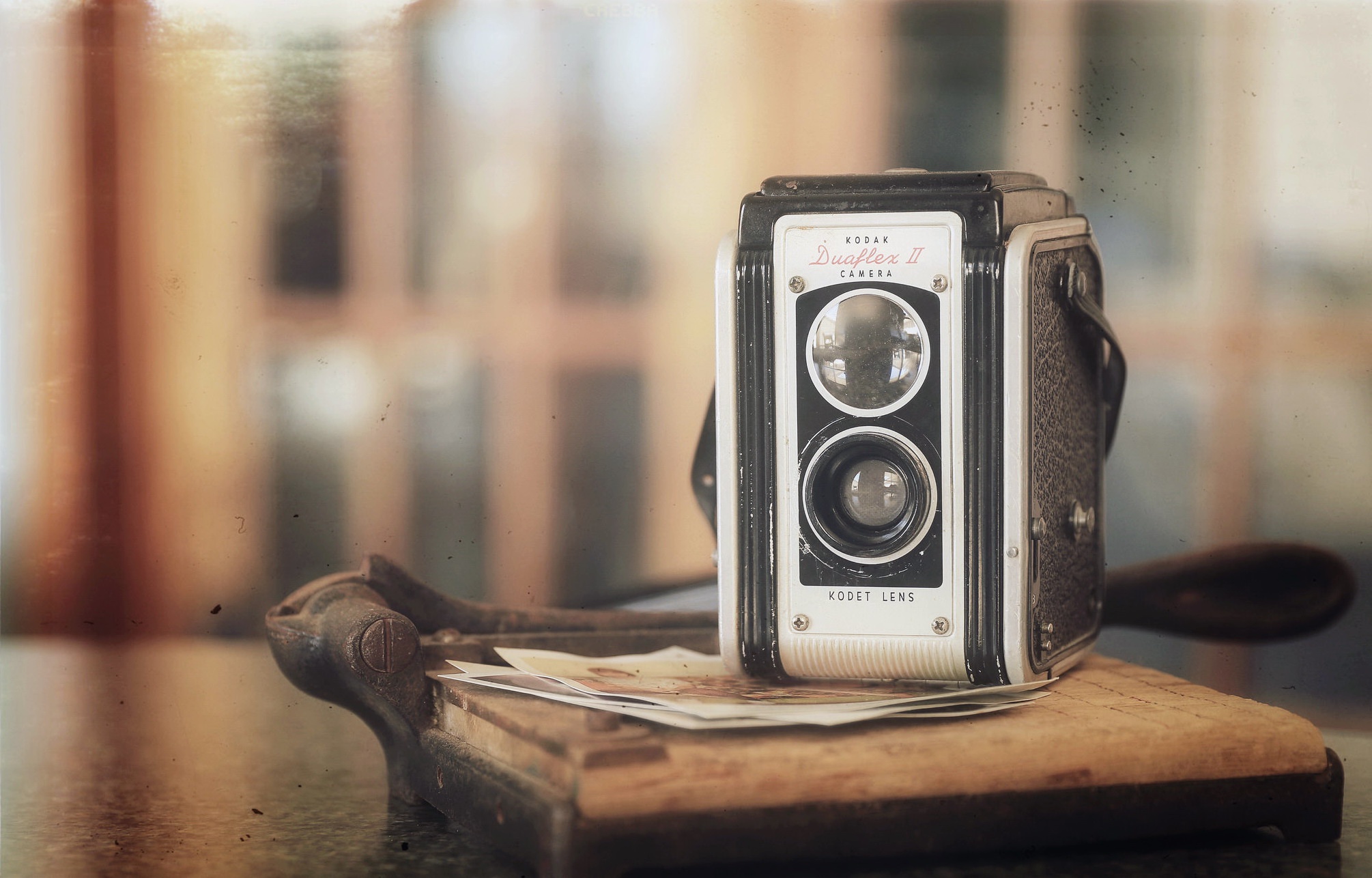 Camera Kodak Vintage 2010x1286