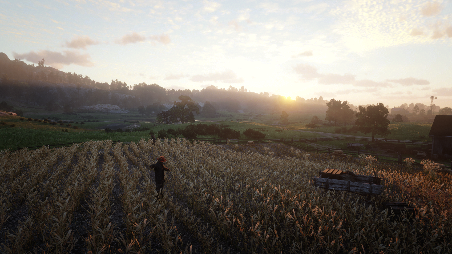 Red Dead Redemption 2 Video Games Scarecrows Farm Wheat Trees 1920x1080