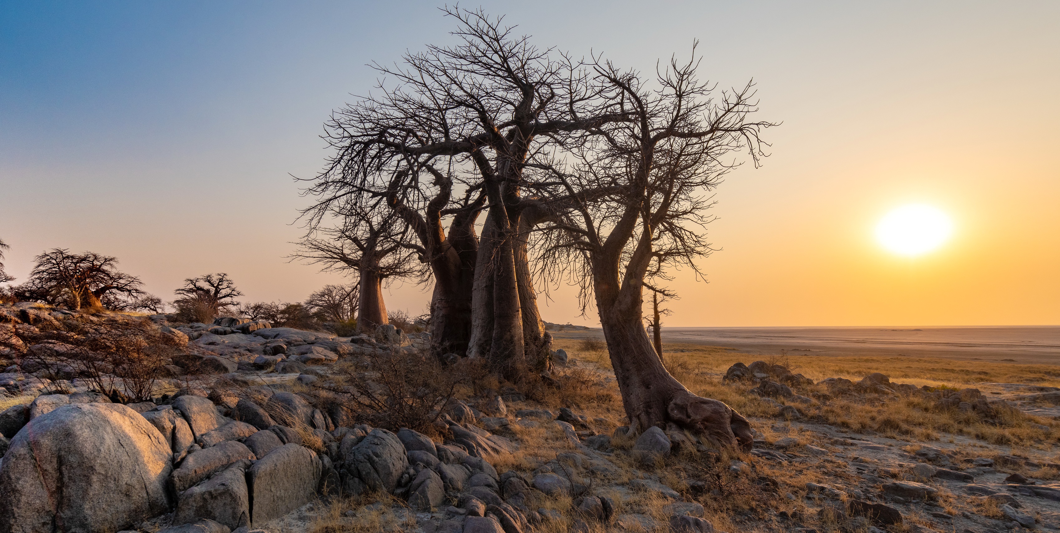 Botswana Africa Nature Landscape Sun Trees 3397x1707