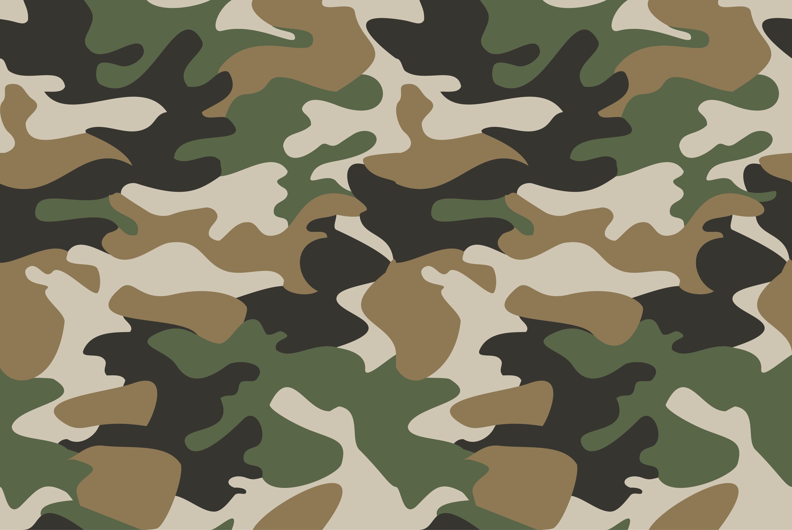 Military Camouflage 2708x1813