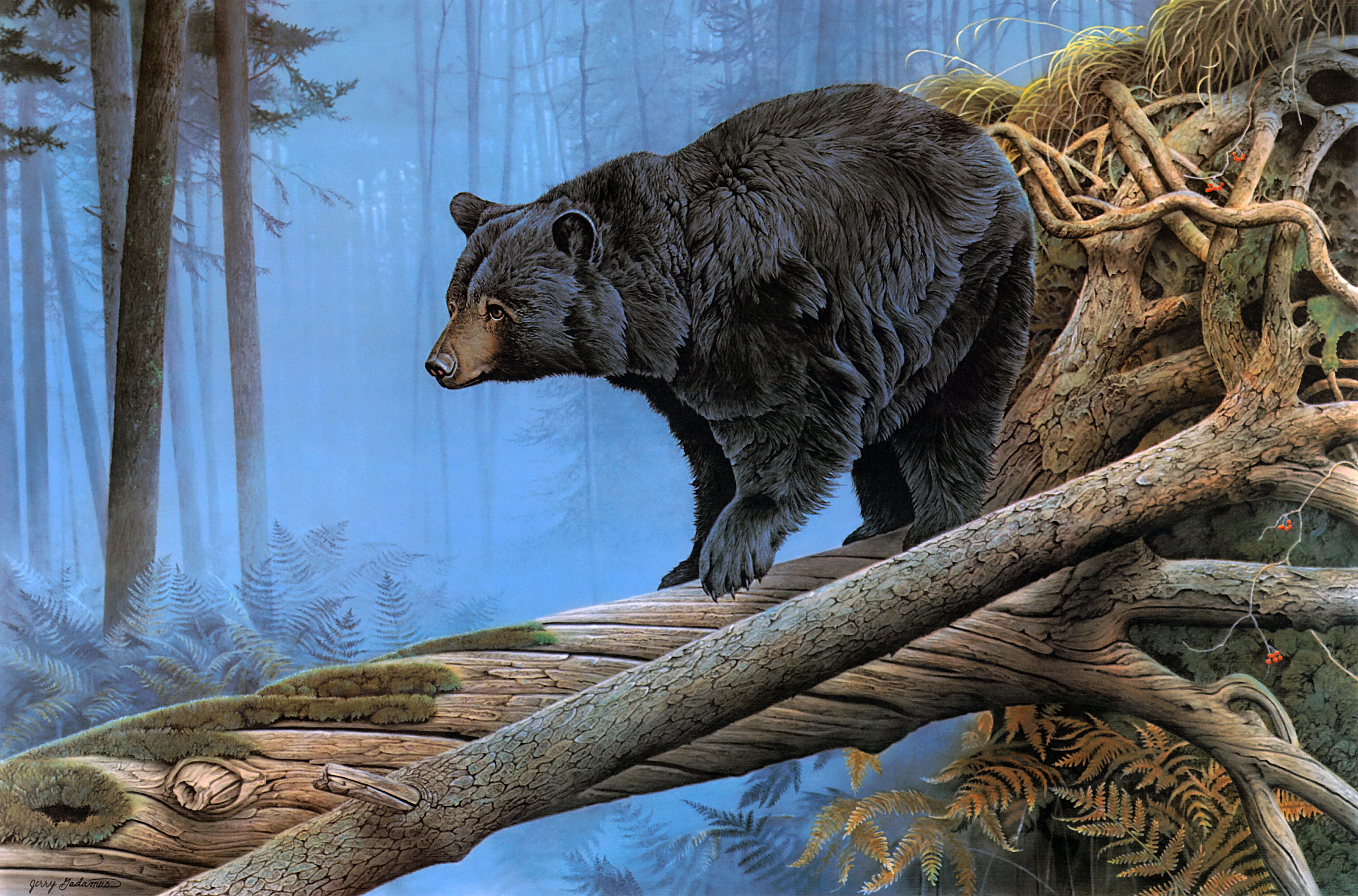 Artistic Painting Wildlife Predator Animal 2602x1718
