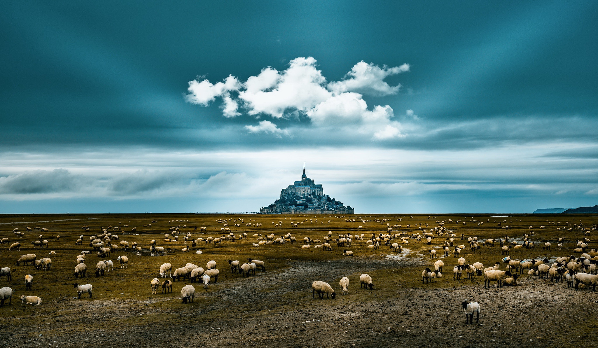Sheep France Sky Landscape 2048x1193