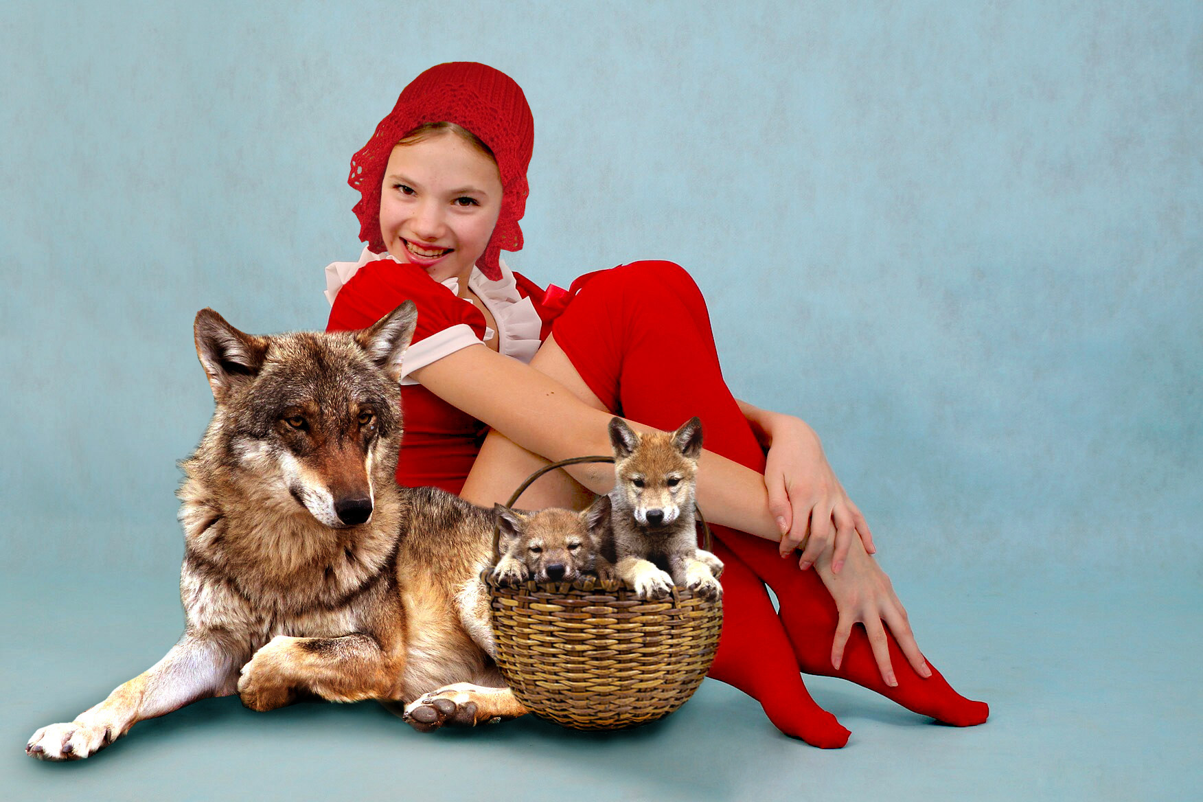 Model Little Red Riding Hood Wolf Smile Bonnet Studio Women Smiling Baskets Puppies Animals Mammals 1752x1168