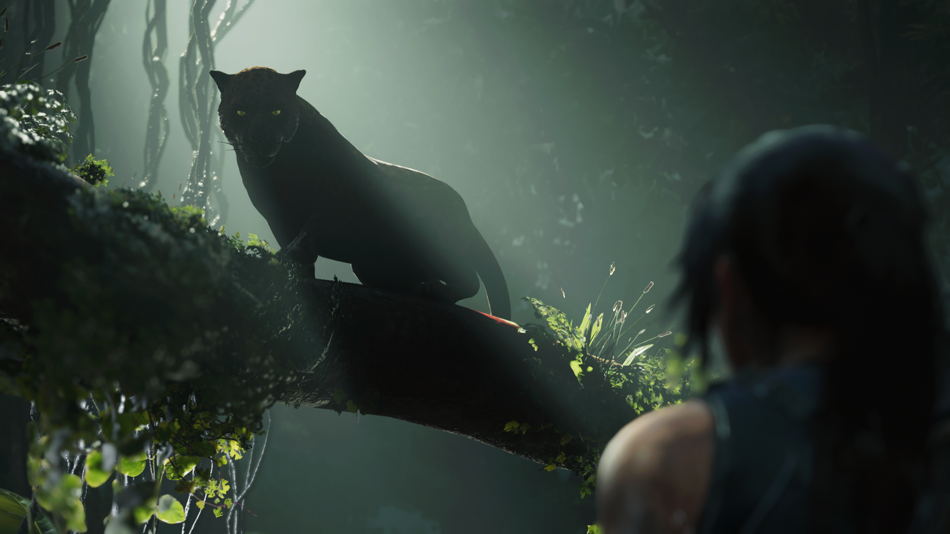 Lara Croft Tomb Raider Shadow Of The Tomb Raider Video Game Animals Video Games 1920x1080
