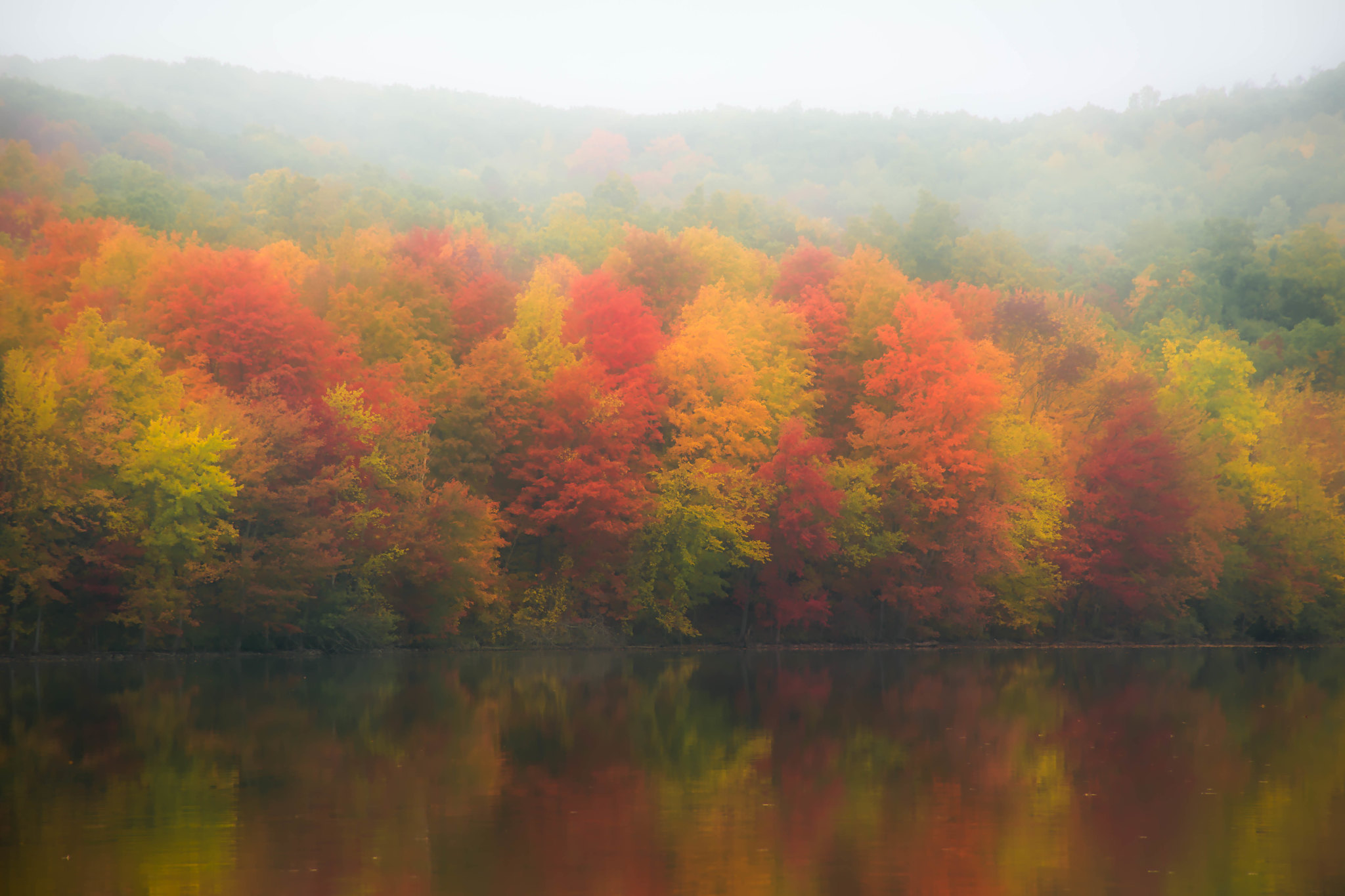 Mist Fall Nature Landscape Trees Lake 2048x1365