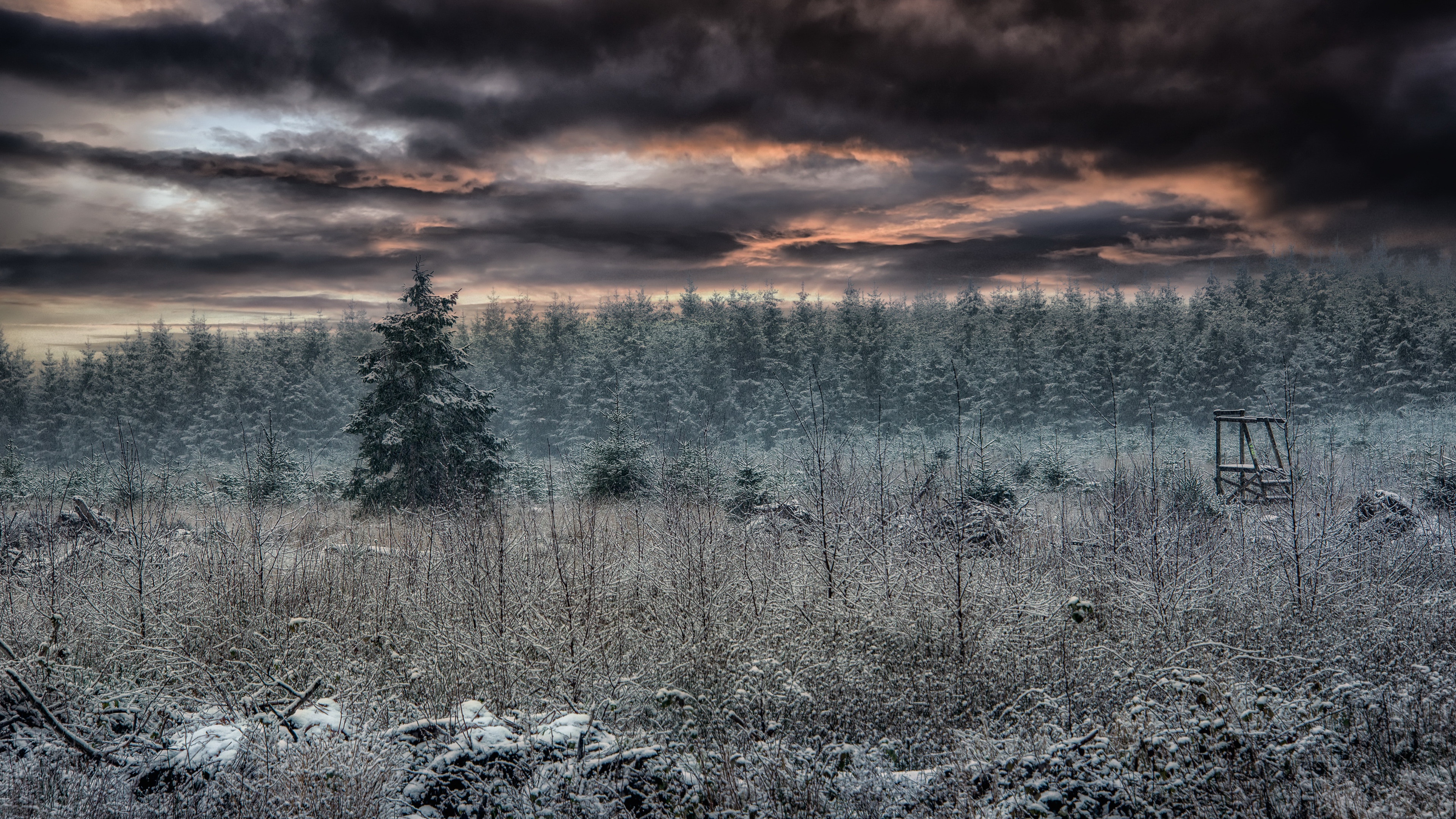 Nature Cold Outdoors Landscape Winter 3840x2160