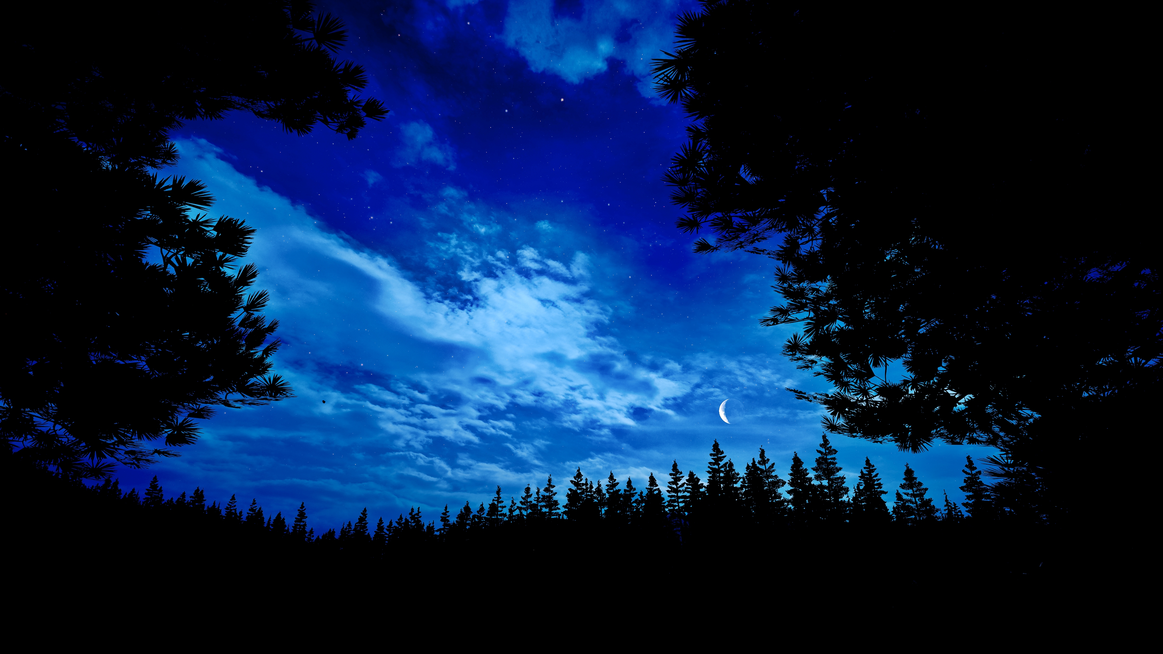 Far Cry 5 Night Full Moon Forest PC Gaming 3840x2160