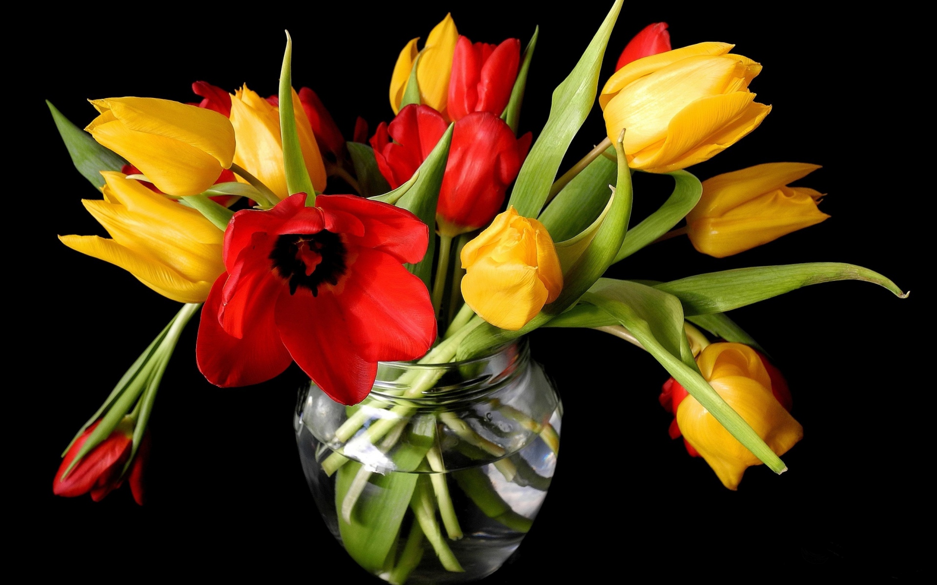 Bouquet Tulip 1920x1200