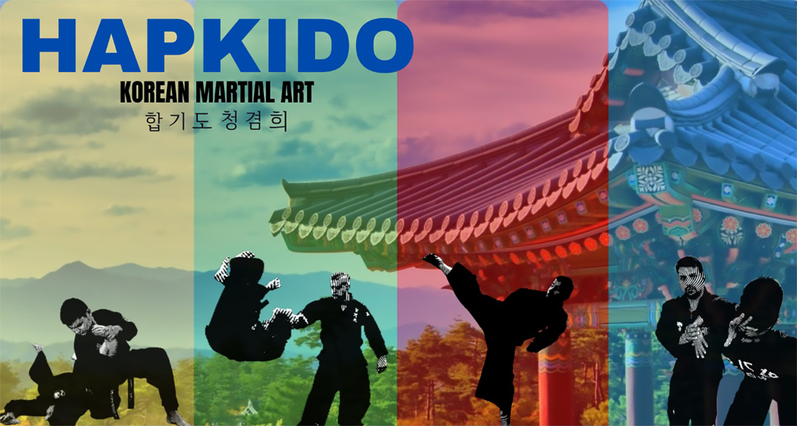 Korean Korean Martial Arts Hapkido 1600x856