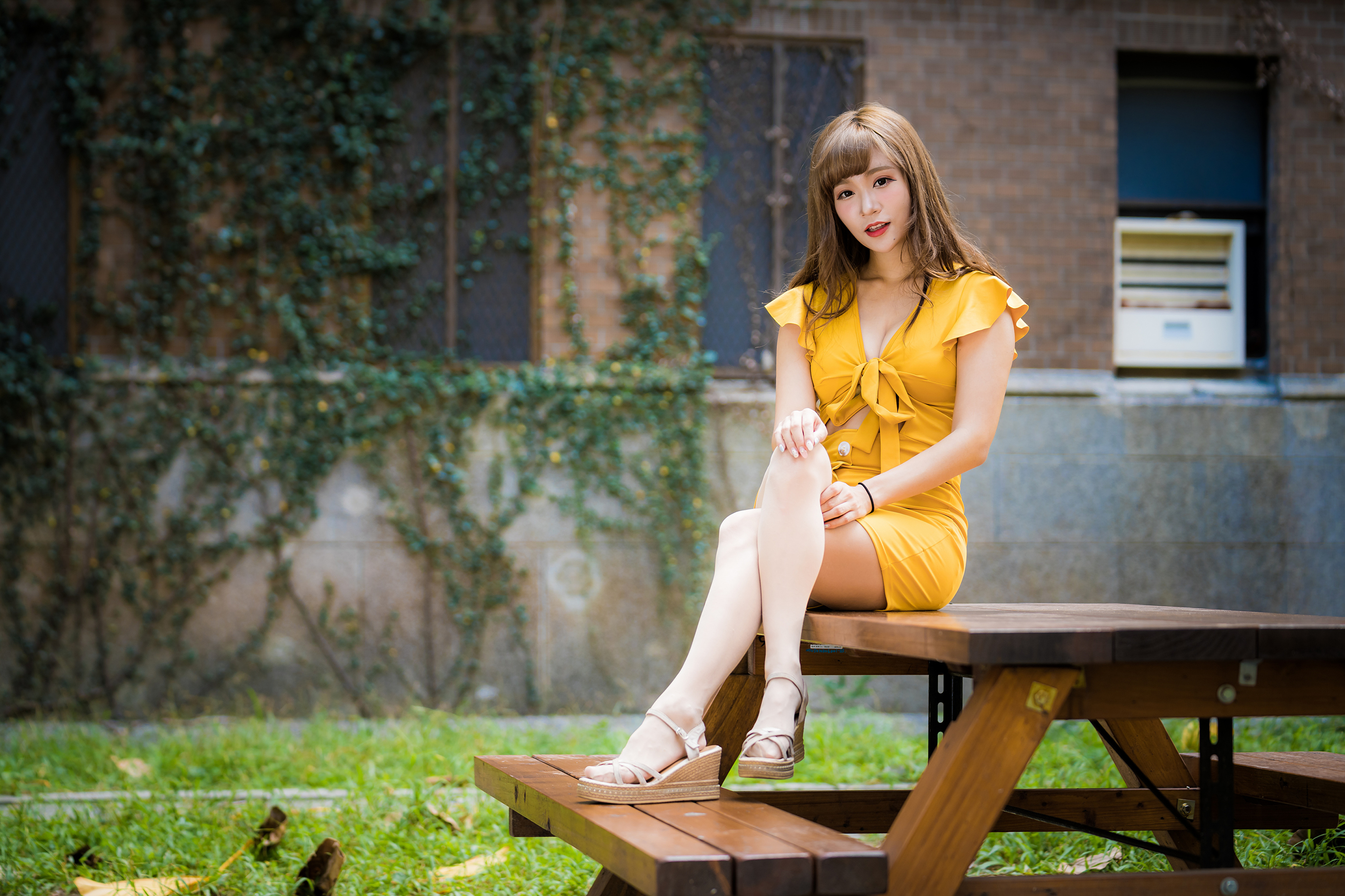 Asian Model Women Long Hair Dark Hair Yellow Dress Nylons Table Bench Depth Of Field Sitting Legs Cr 3840x2559