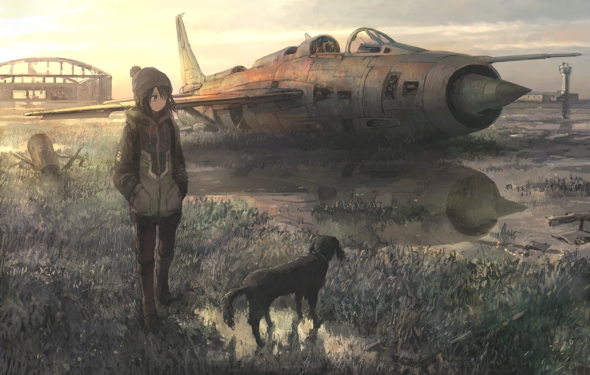 Airplane Black Hair Brown Eyes Dog Hat Short Hair Wreck 2000x1272