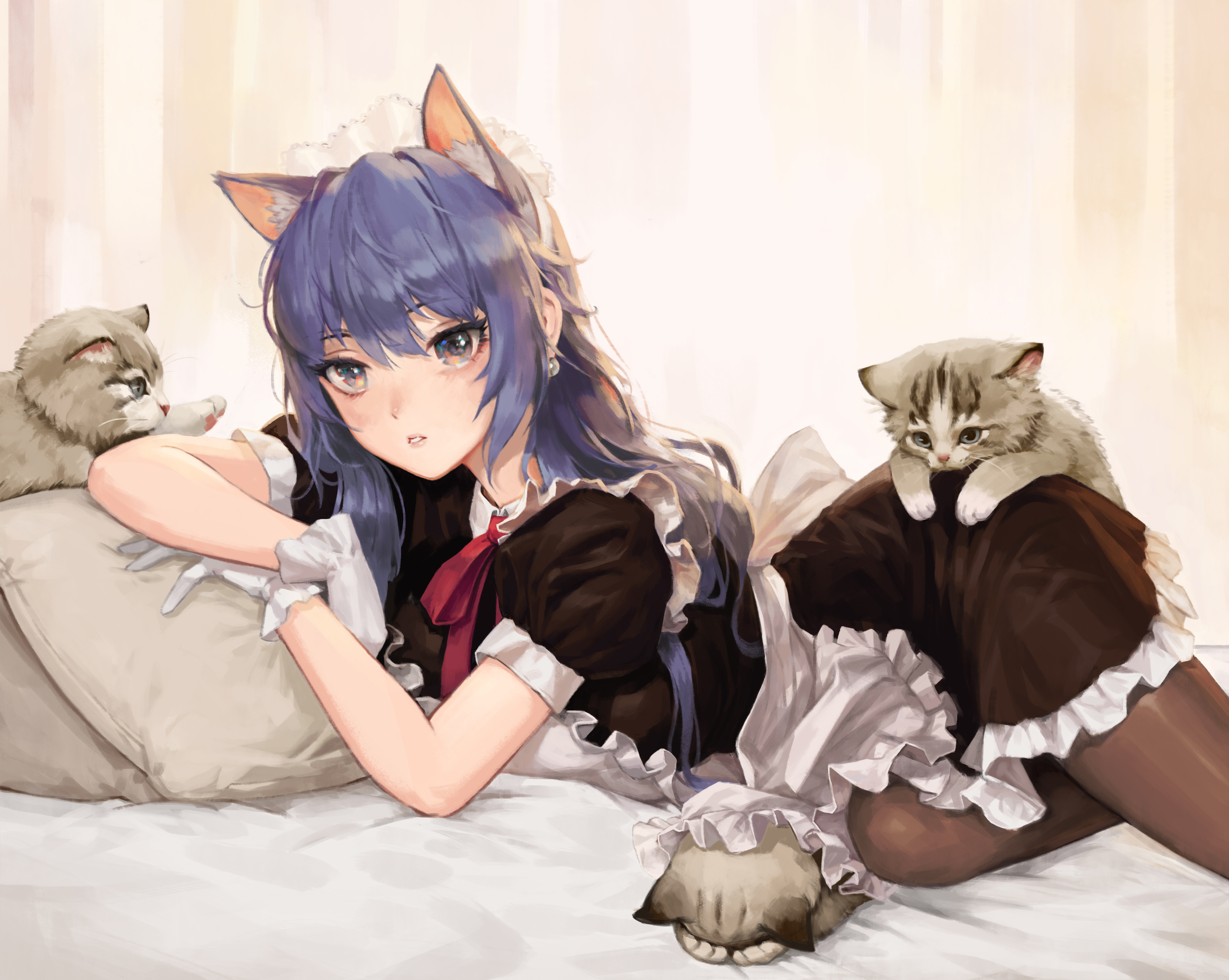 Anime cat girl animal ears loli blue dress cute Anime HD wallpaper   Peakpx