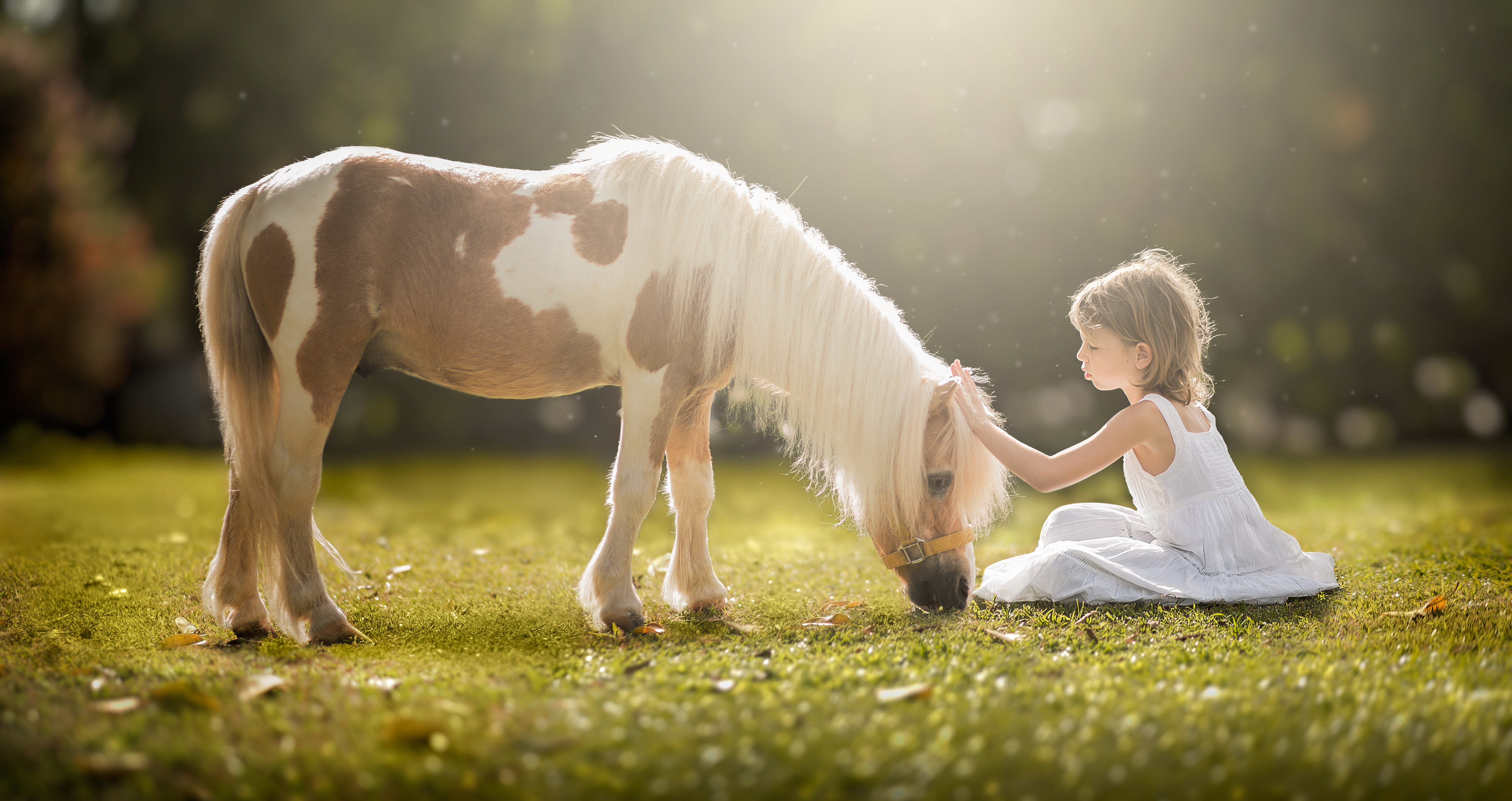 Pony Grass Sunny White Dress Little Girl 5760x3053