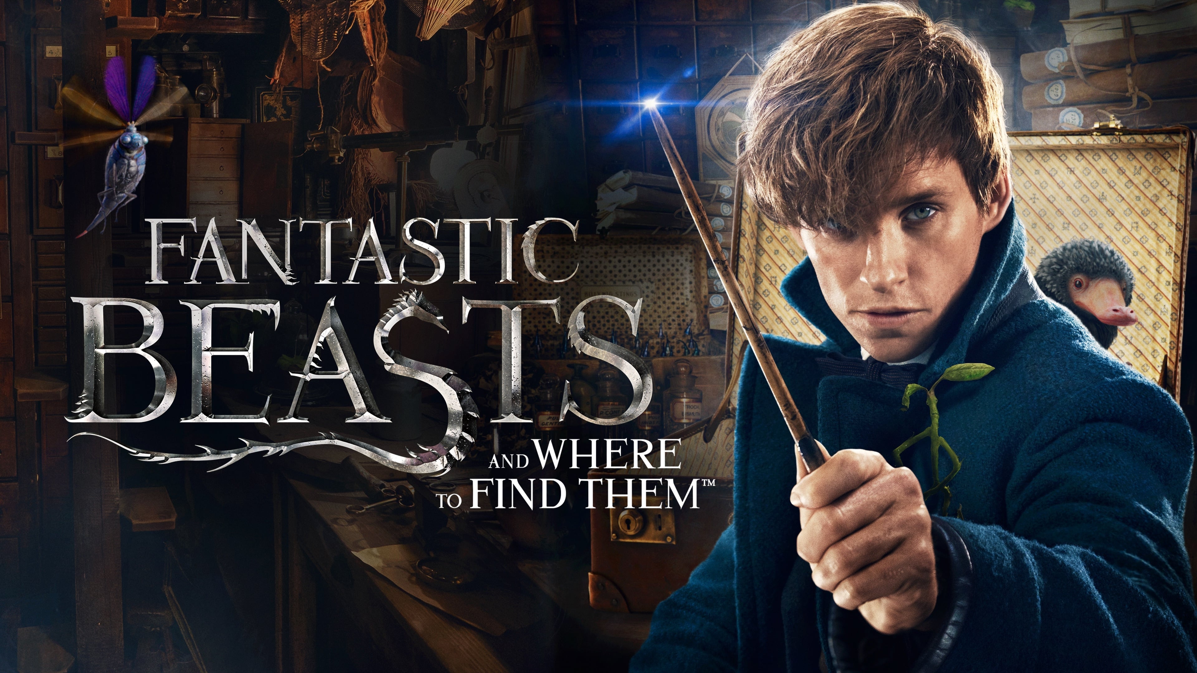 Fantastic Beasts And Where To Find Them Newt Scamander 3840x2160