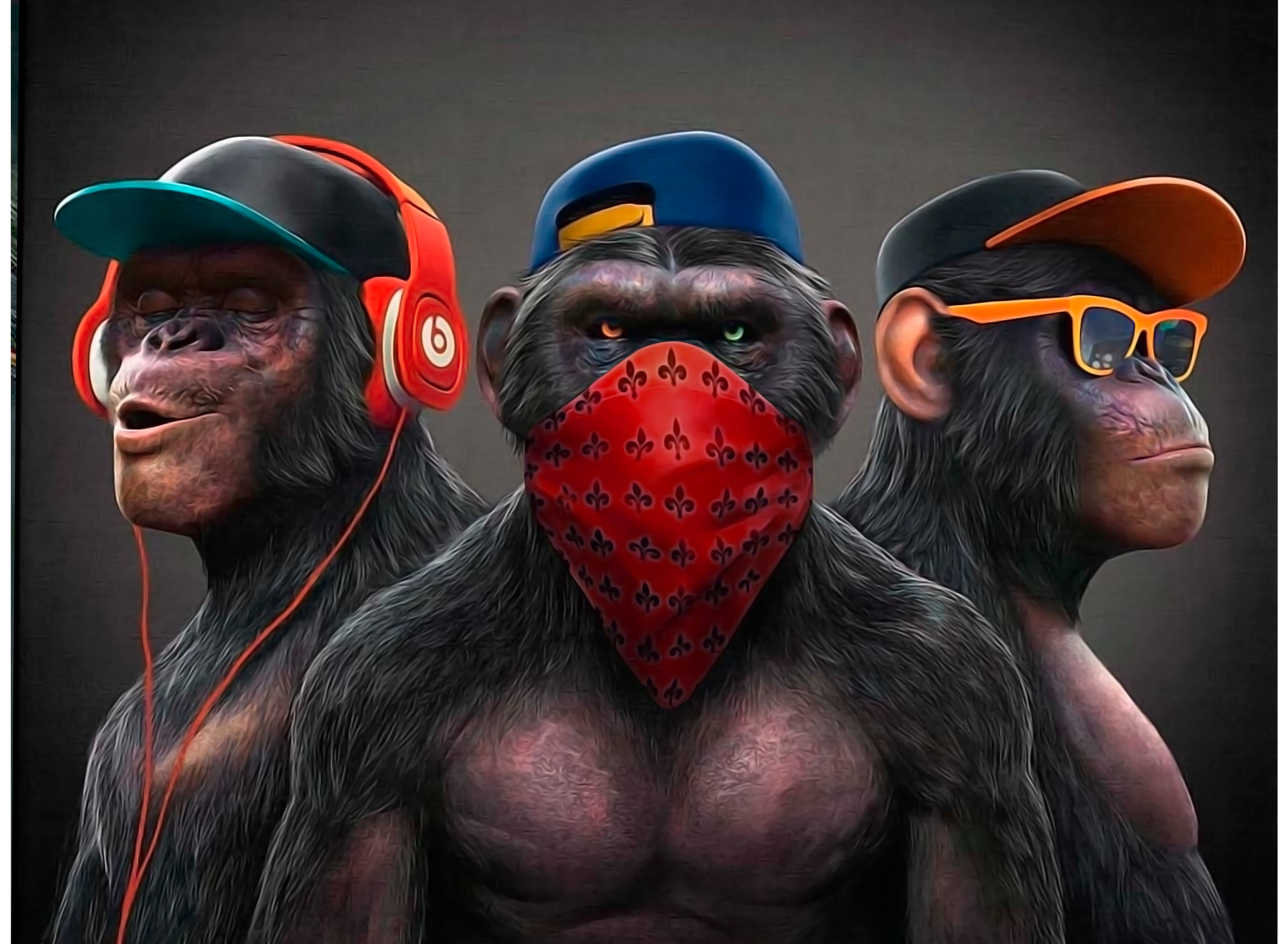 cool monkey wallpaper with hoodieTikTok Search