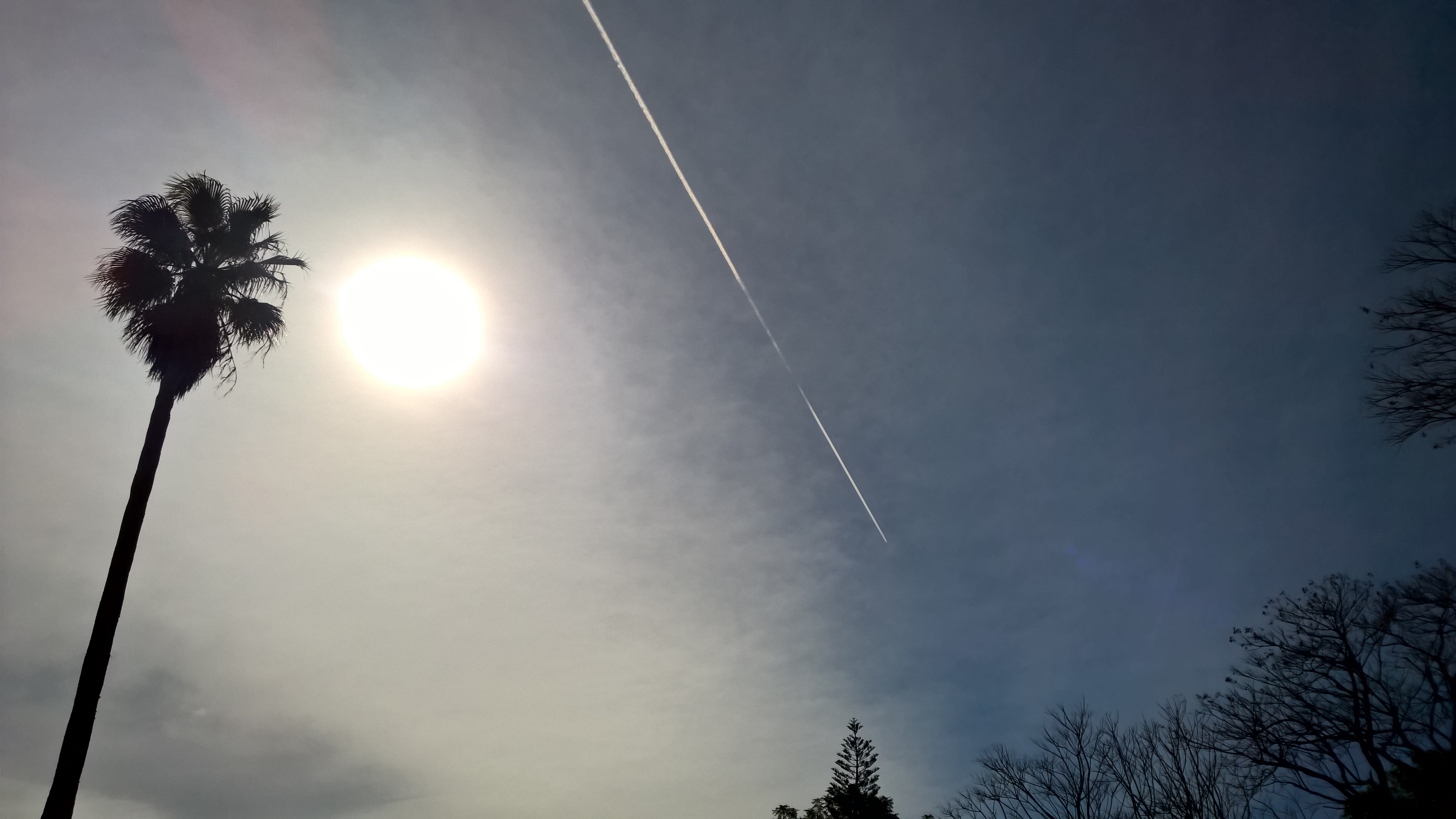 Sky Contrail Airplane Nature 5376x3024
