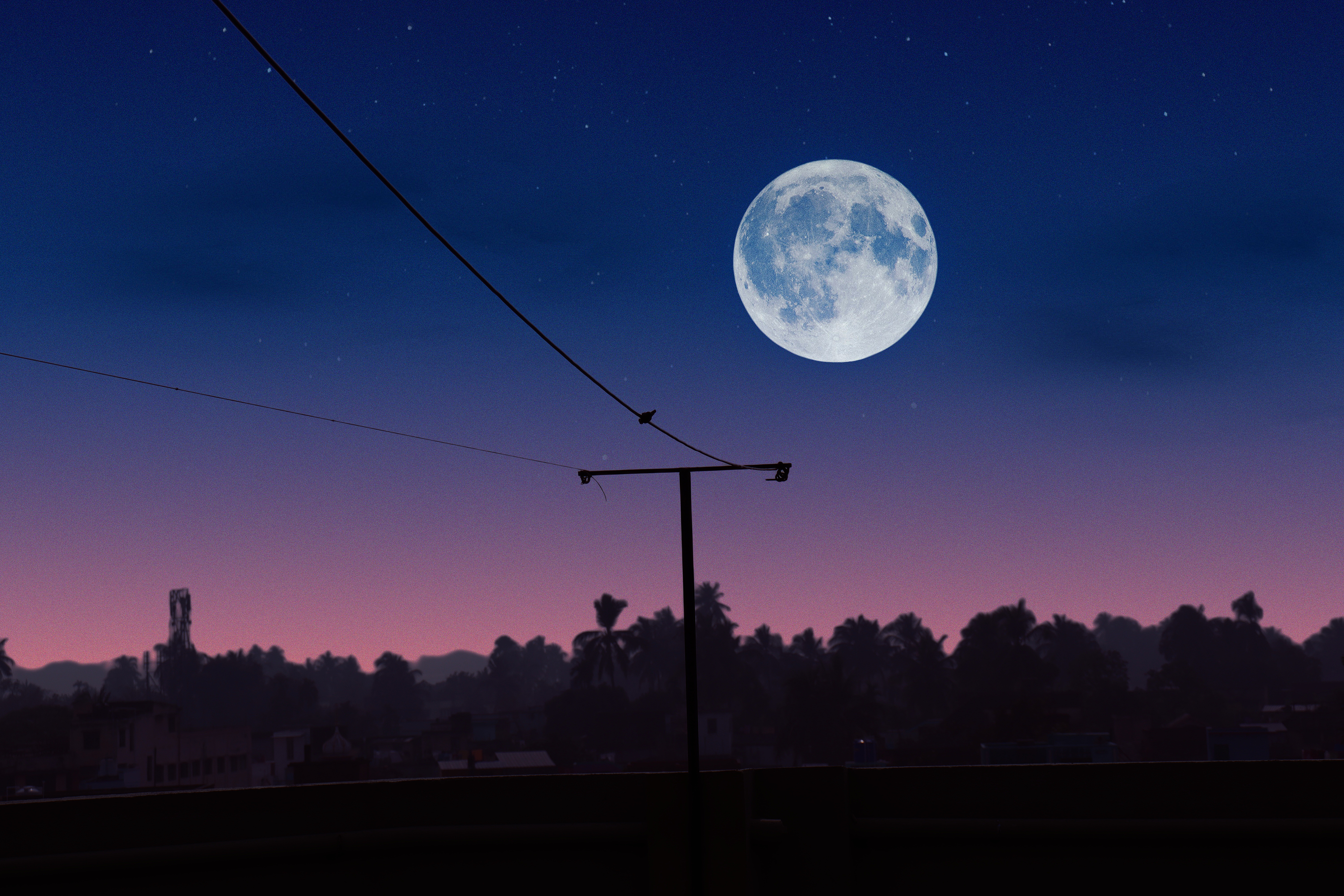 Moon Rays Atree Night Landscape Wires Poles Depth Of Field 6000x4000