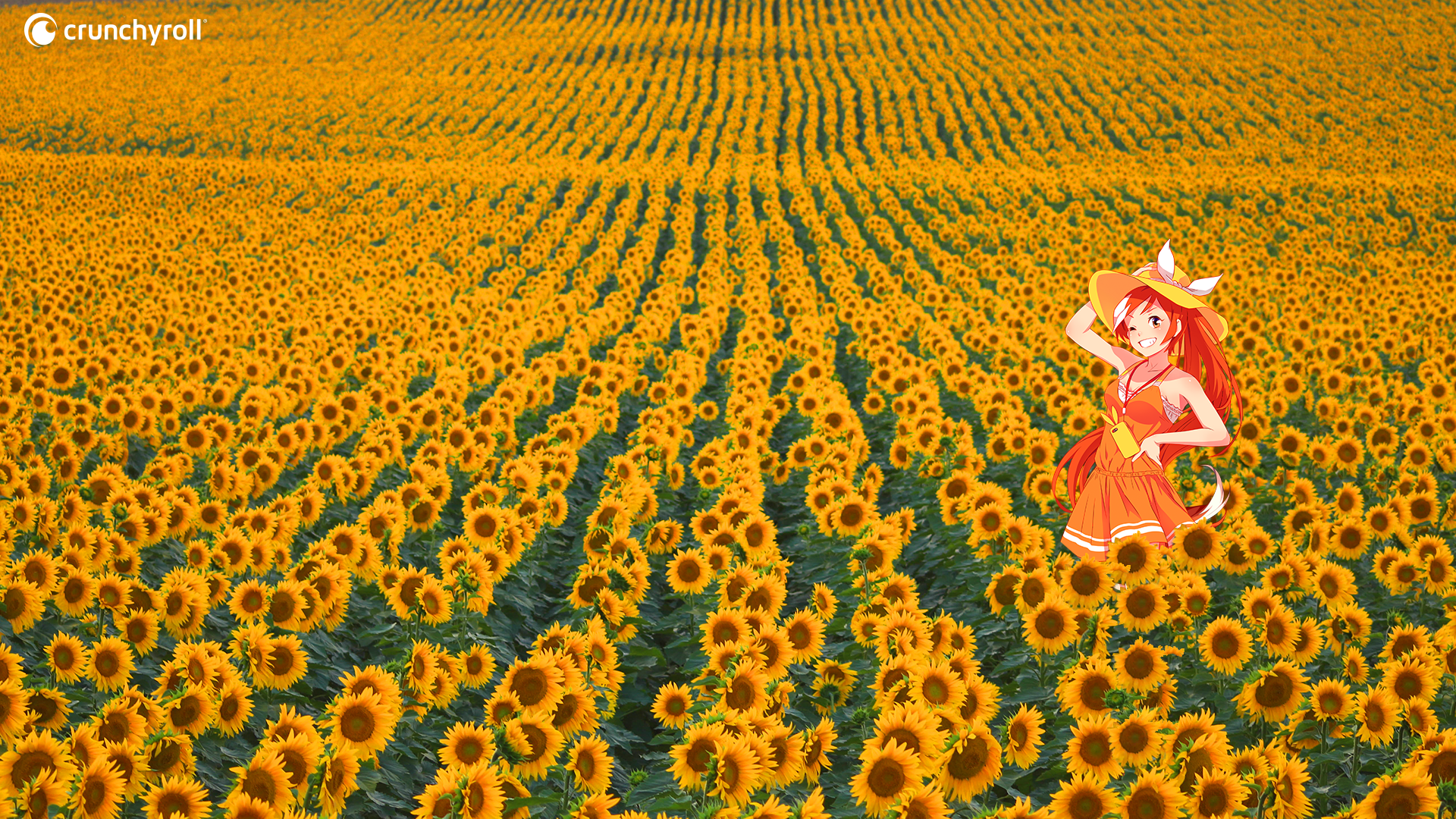 Crunchyroll Crunchyroll Hime Sunflowers 1920x1080