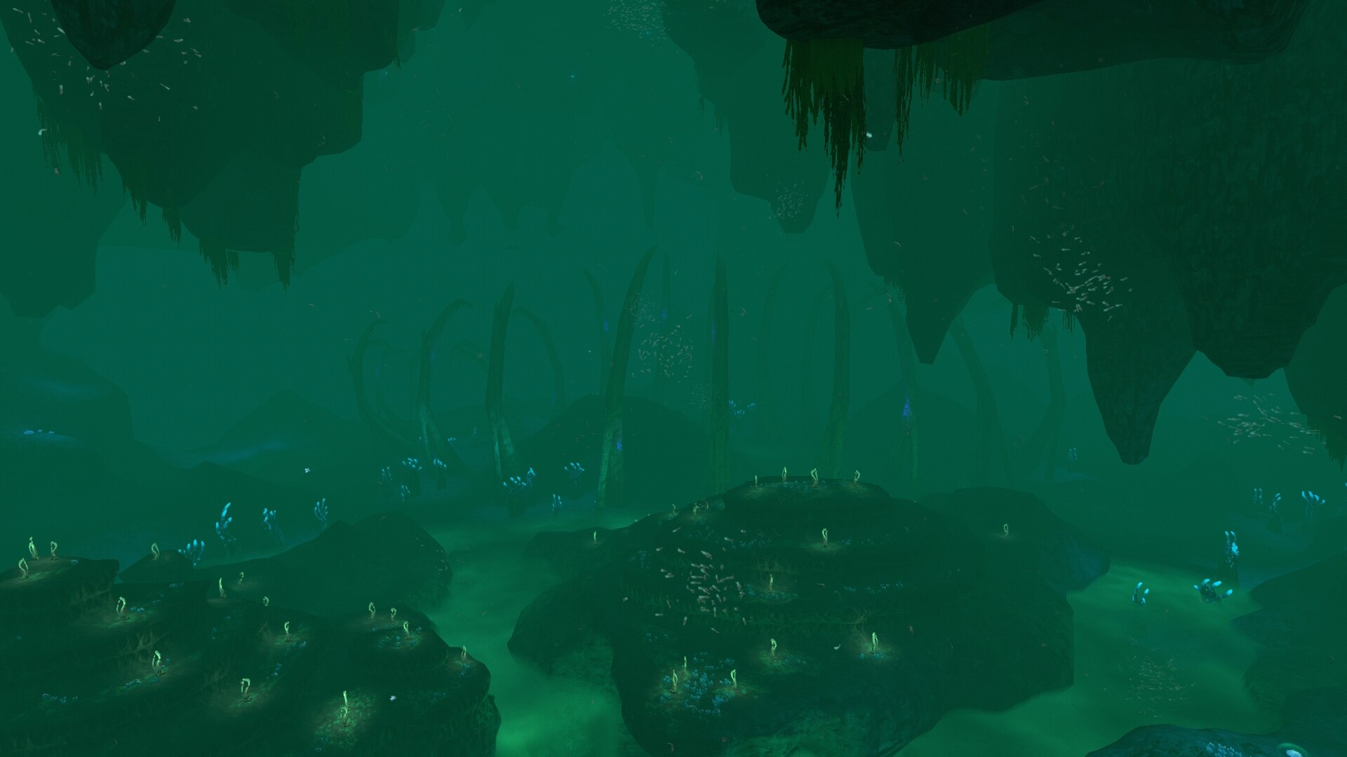 Video Games Screen Shot Bones Subnautica Underwater Cave 1920x1080