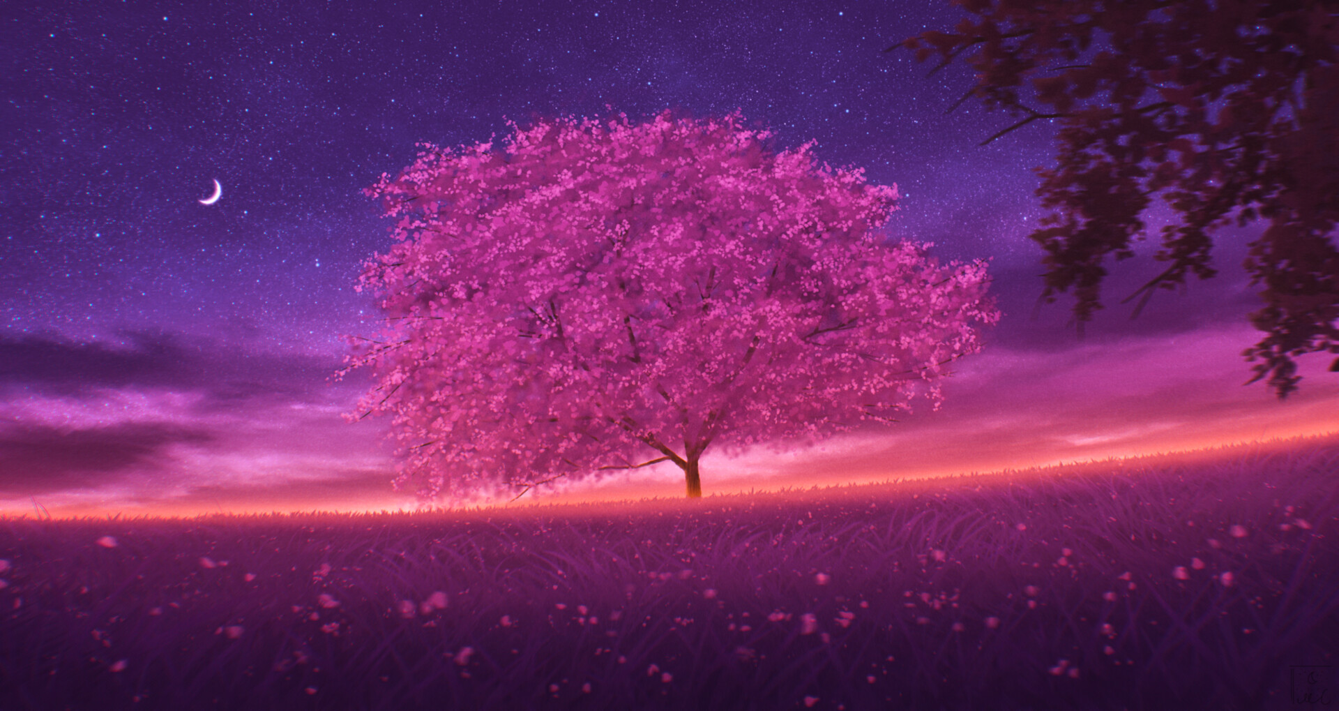Elizabeth Miloecute Digital Art Starry Night Trees Cherry Blossom Moon Sunset 1920x1019