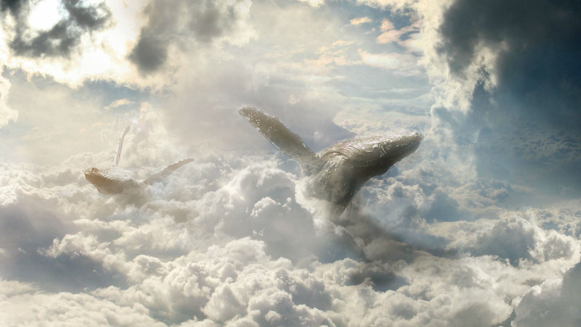 Cloud Fantasy Sky Whale 1920x1080