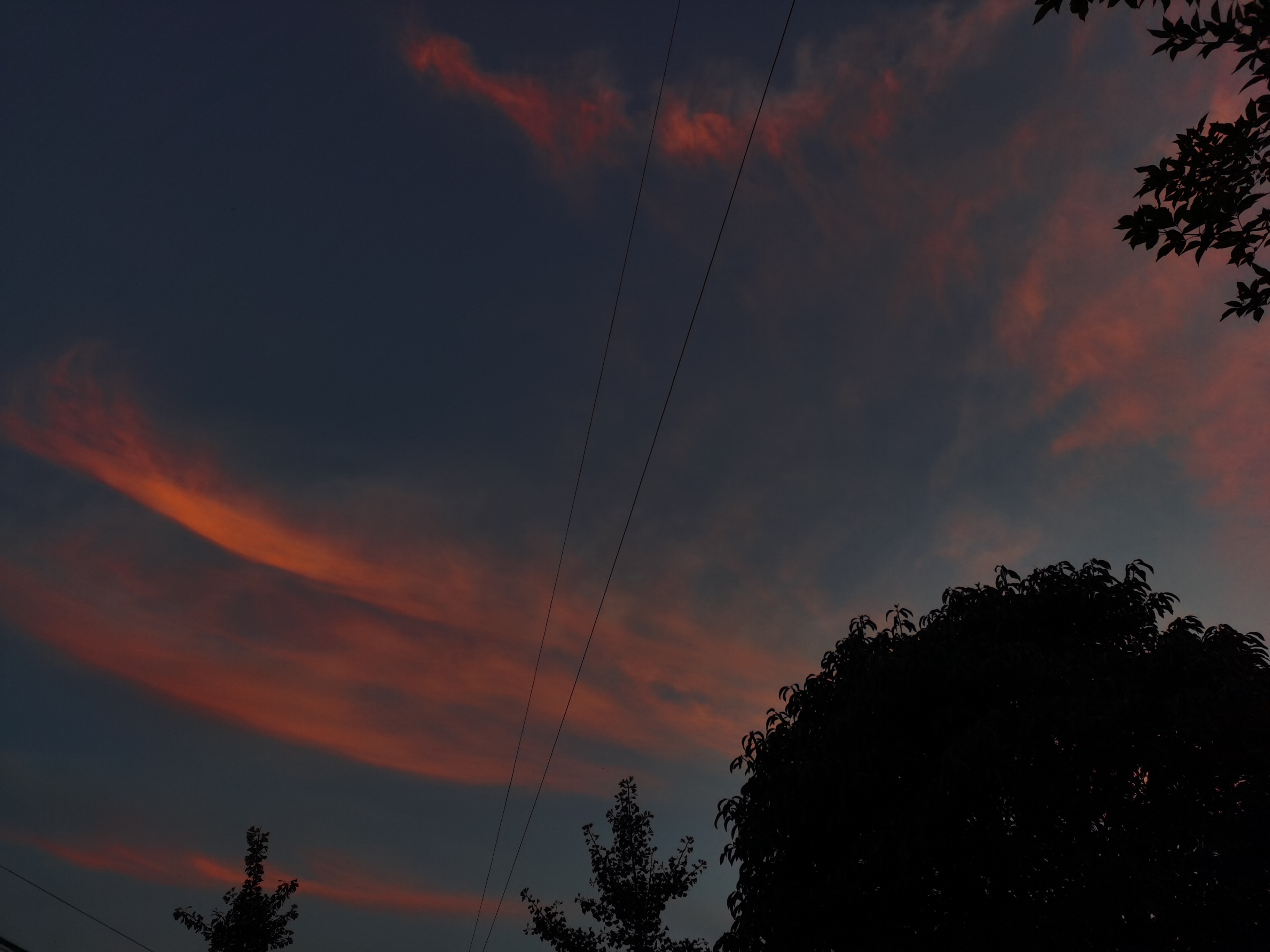 Evening Clouds Trees Electric Line 3648x2736