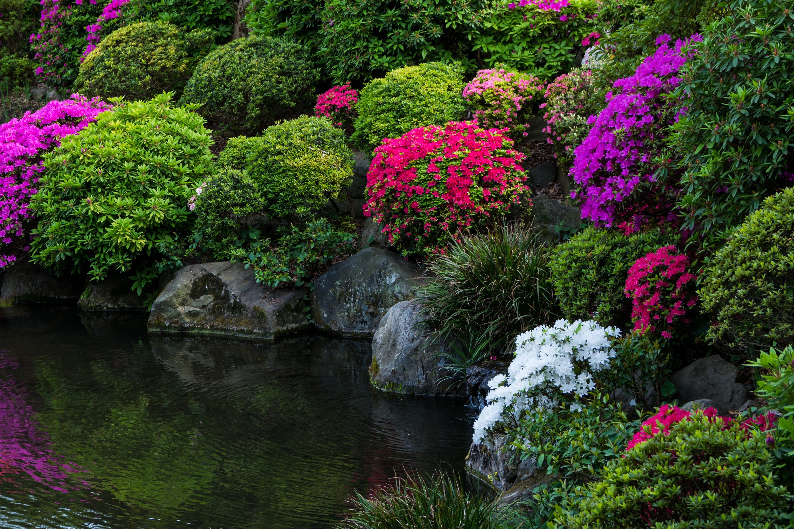 Japan Garden Plants Stones Flowers 2700x1800