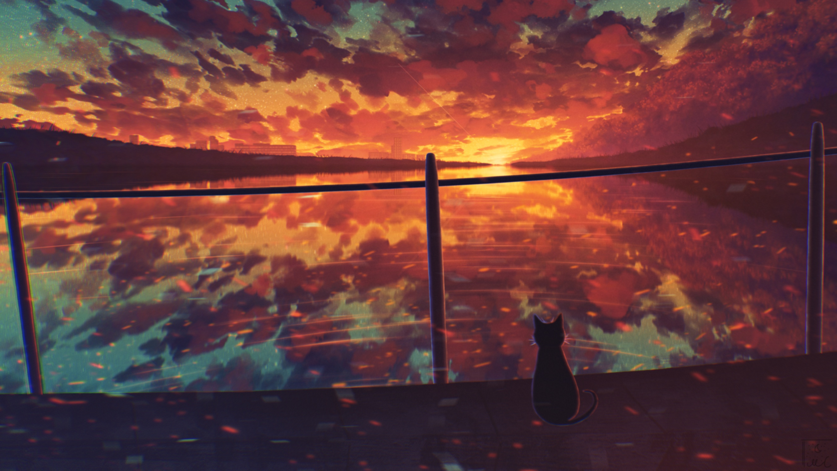 Cat Water Sunset 2660x1496