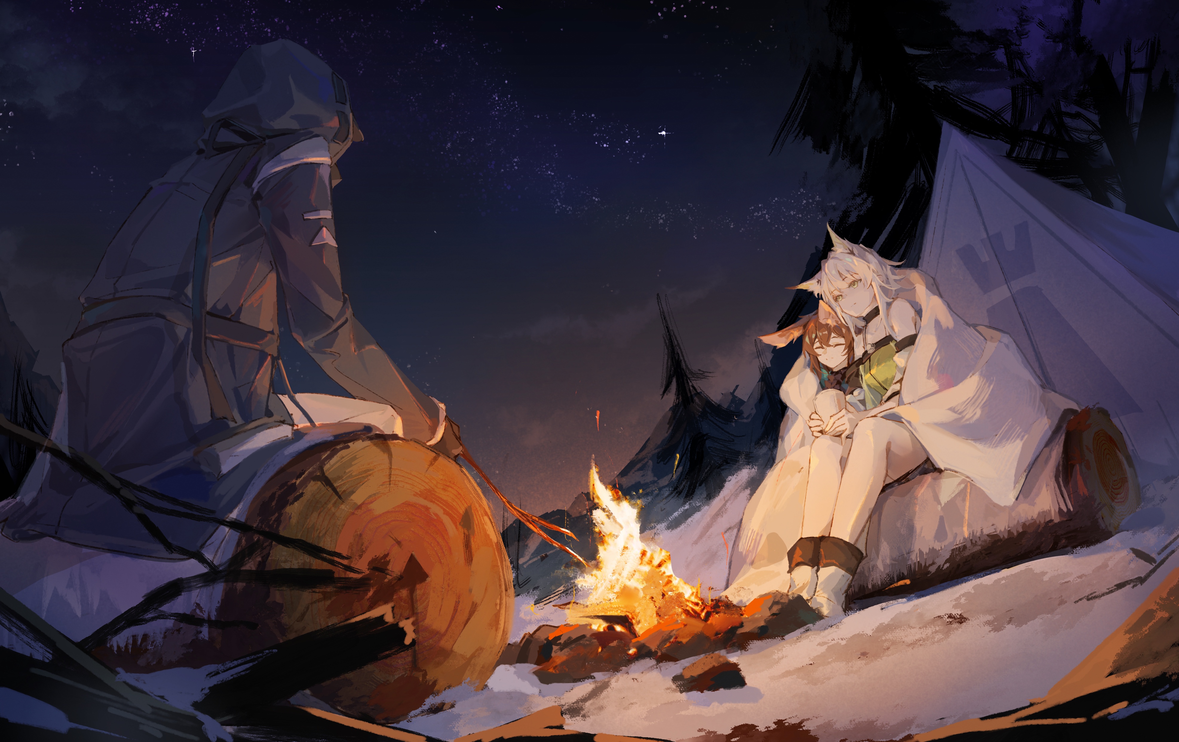 Download A Group Of People Sitting Around A Campfire Wallpaper |  Wallpapers.com