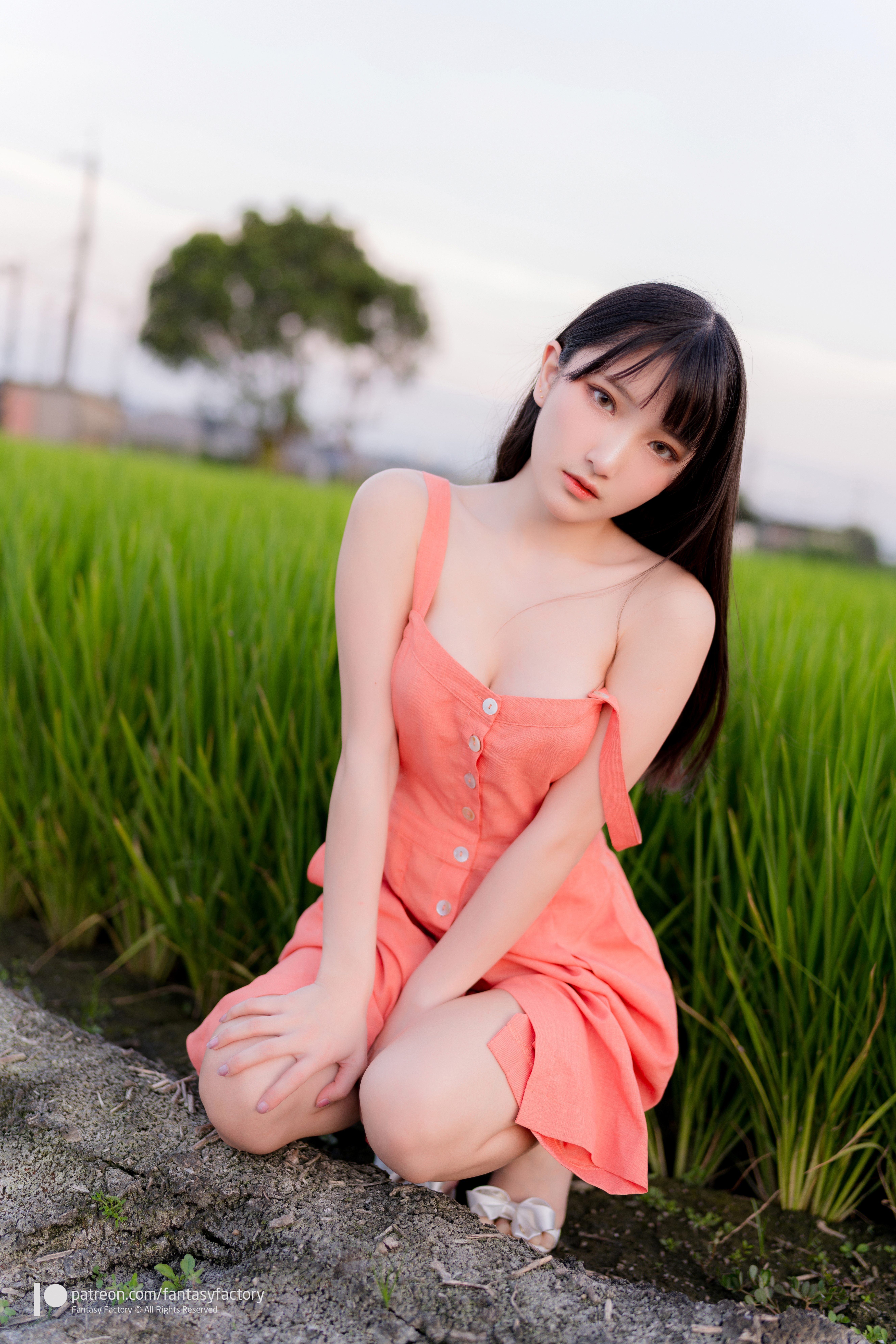 Women Model Asian Brunette Bangs Dress Looking At Viewer Bare Shoulders Rice Fields Outdoors Women O 5304x7952